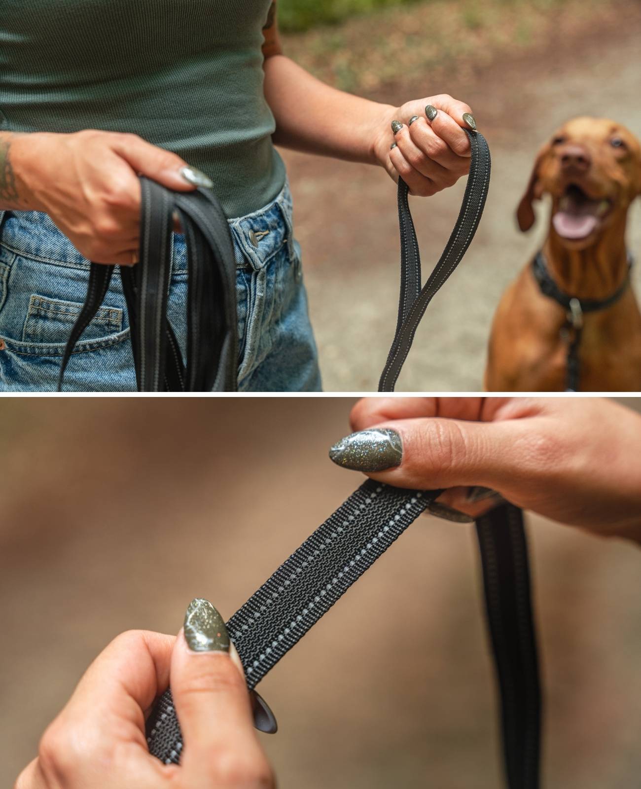 lionto Schleppleine für Hunde 10 m gummiert, reflektierend & wetterfest mit Handschlaufe und 360°-Karabiner, schwarz