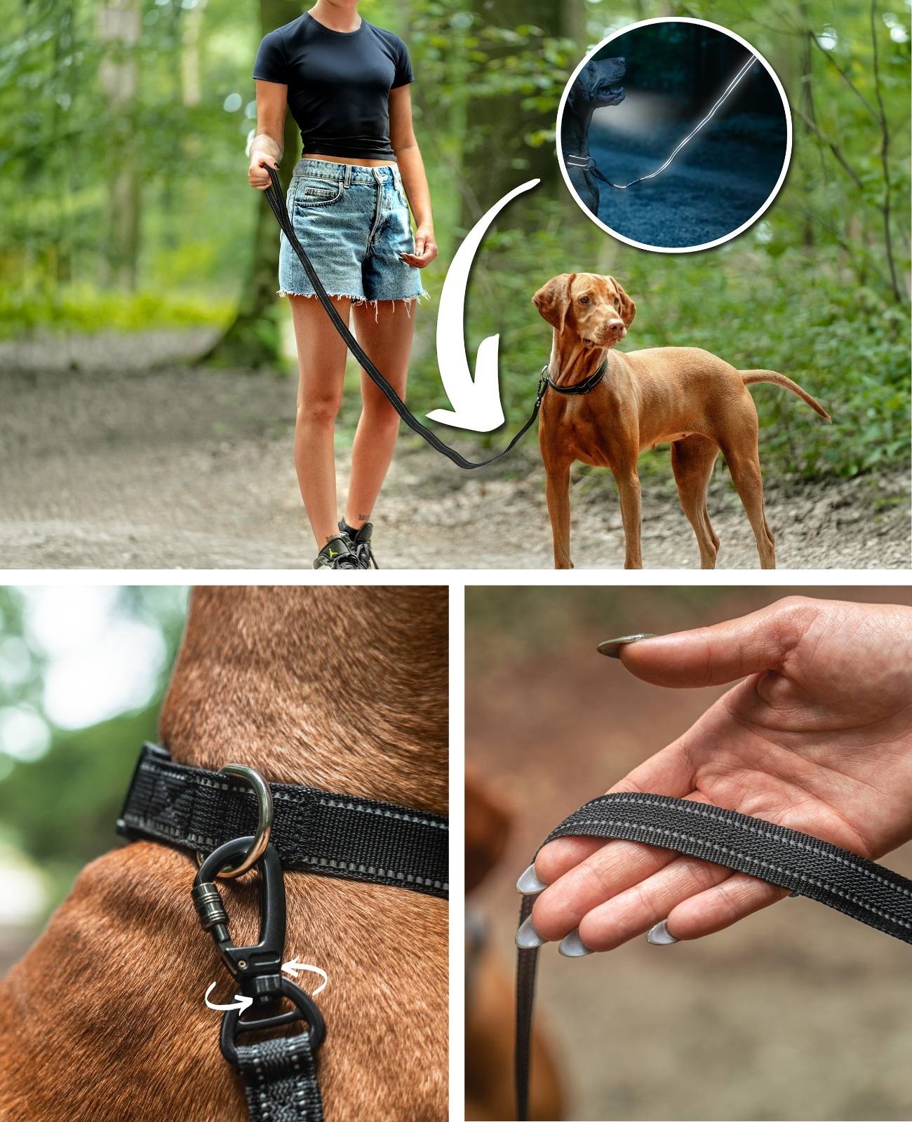 lionto Hundeleine reflektierend, gummierte Leine aus robustem Nylon mit Handschlaufe & Drehkarabiner 1,20 m, schwarz