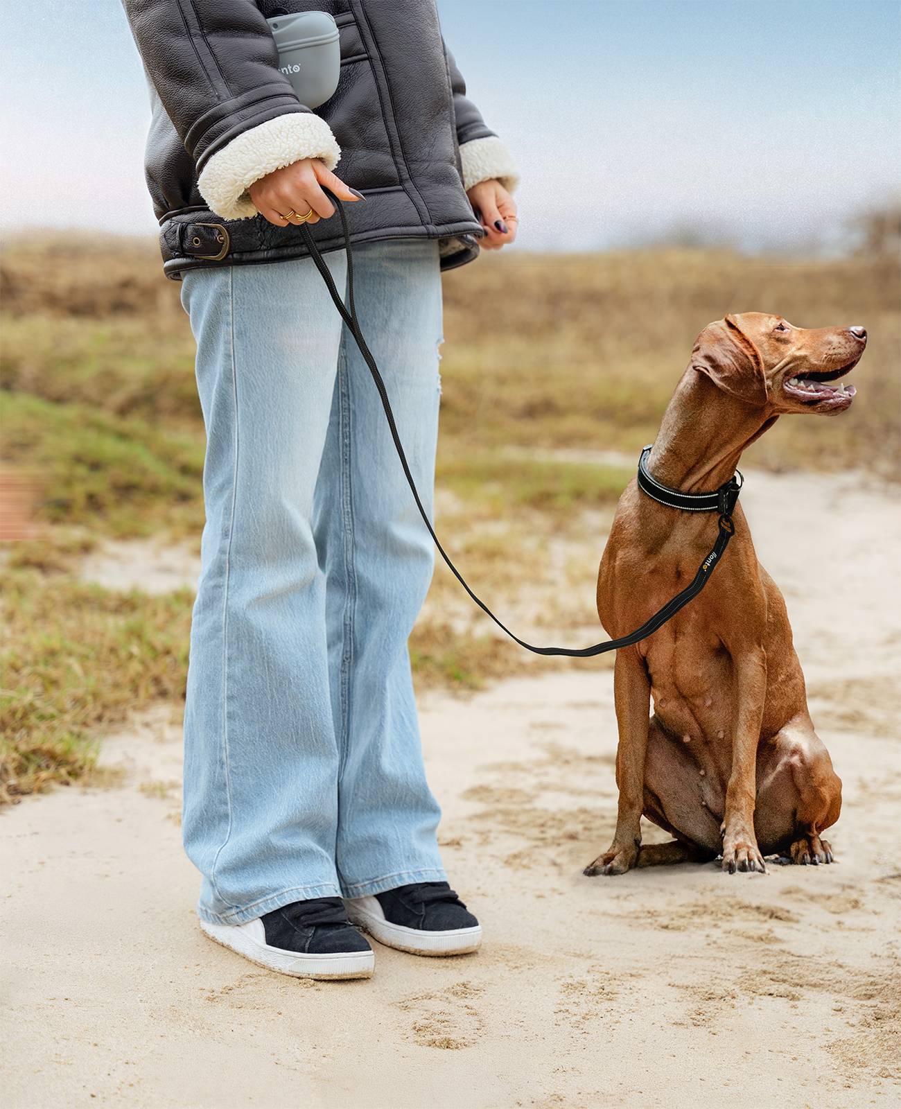 lionto Hundeleine reflektierend, gummierte Leine aus robustem Nylon mit Handschlaufe & Drehkarabiner 1,20 m, schwarz