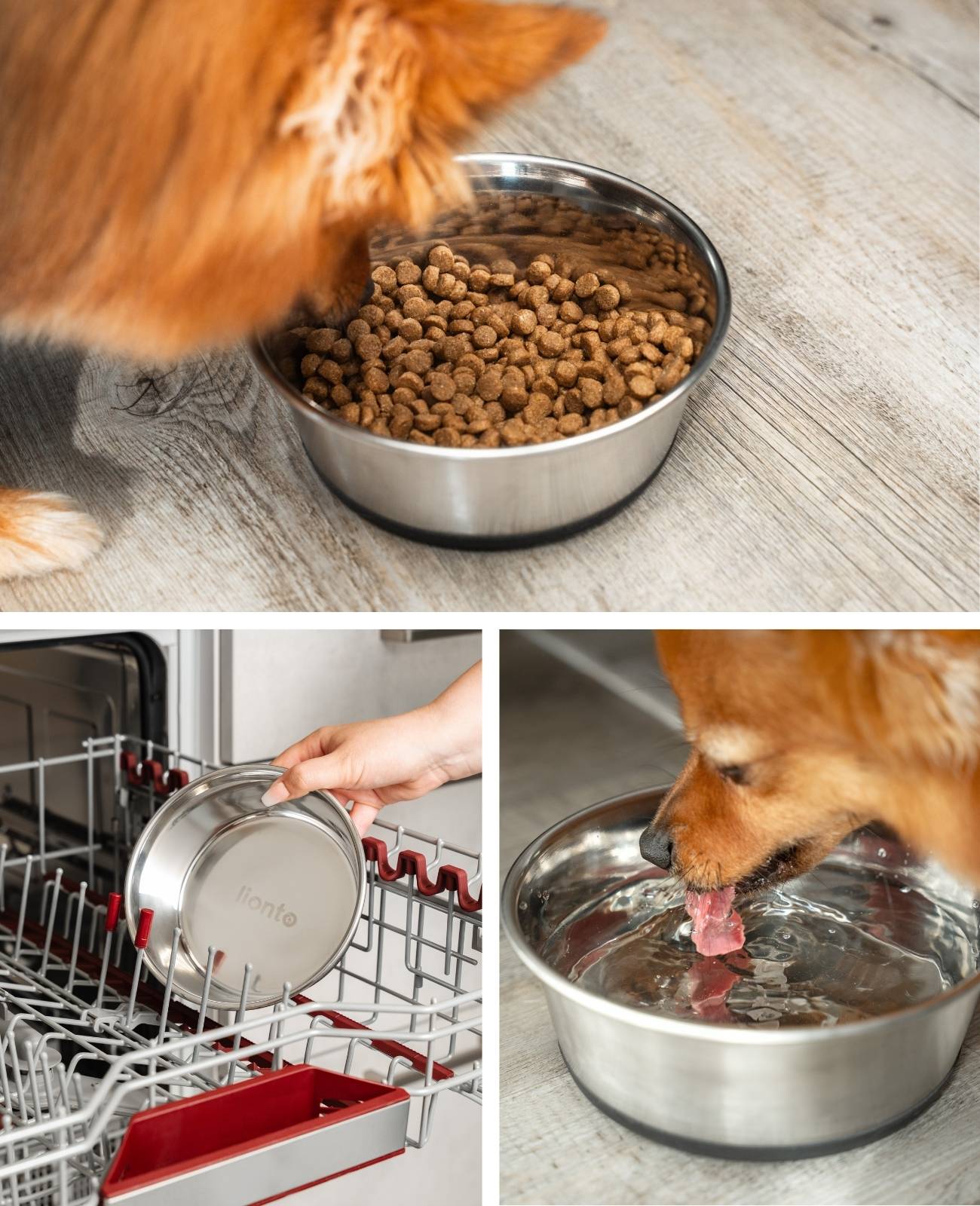 lionto 2er Set Futternapf aus Edelstahl, robuster, rutschfester Napf für Hunde & Katzen, spülmaschinengeeignet & geruchlos, 950 ml