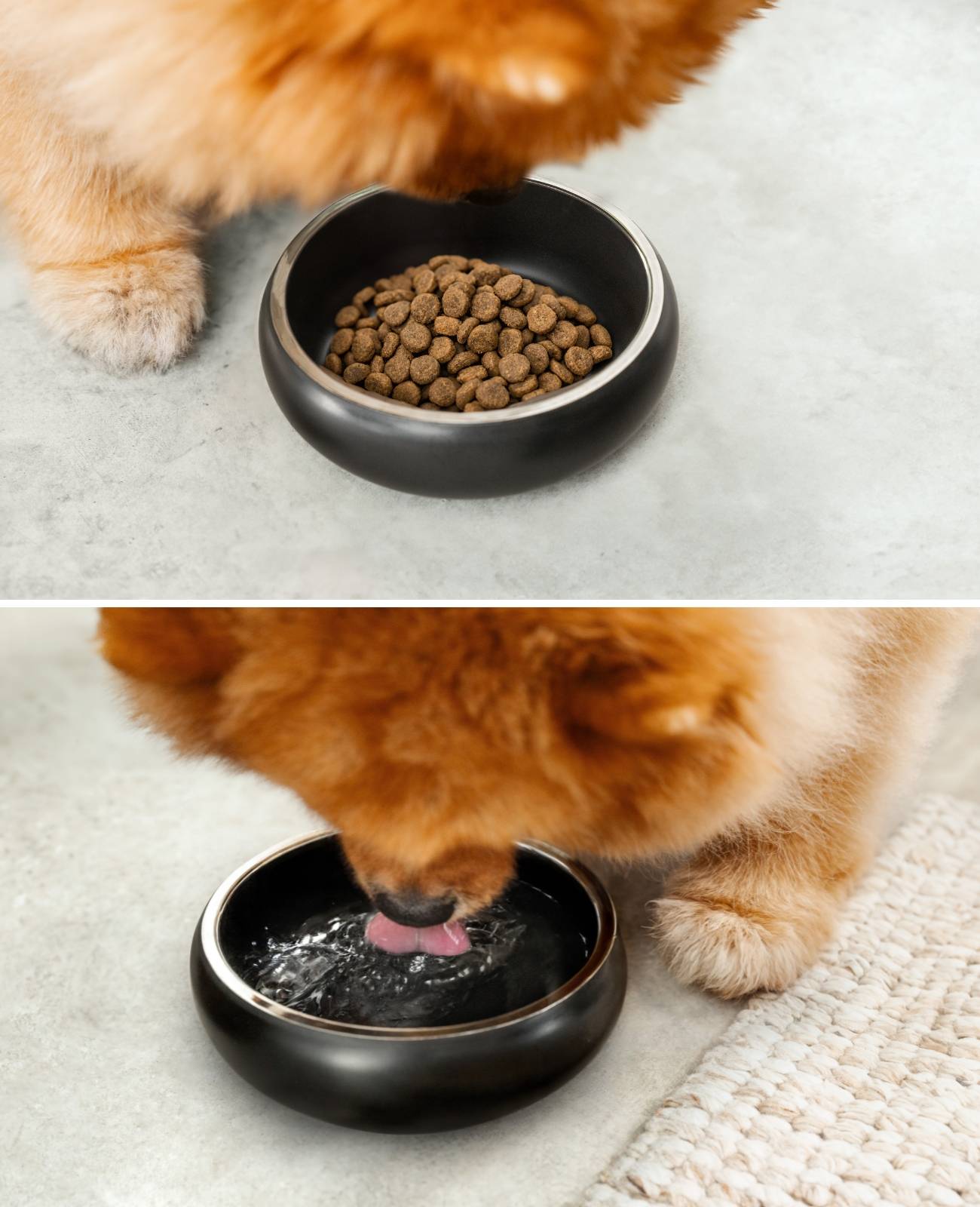 lionto Premium Hundenapf doppelwandig, rostfreier Edelstahlnapf, rutschfest & pflegeleicht, 12 cm Durchmesser, 360 ml, schwarz