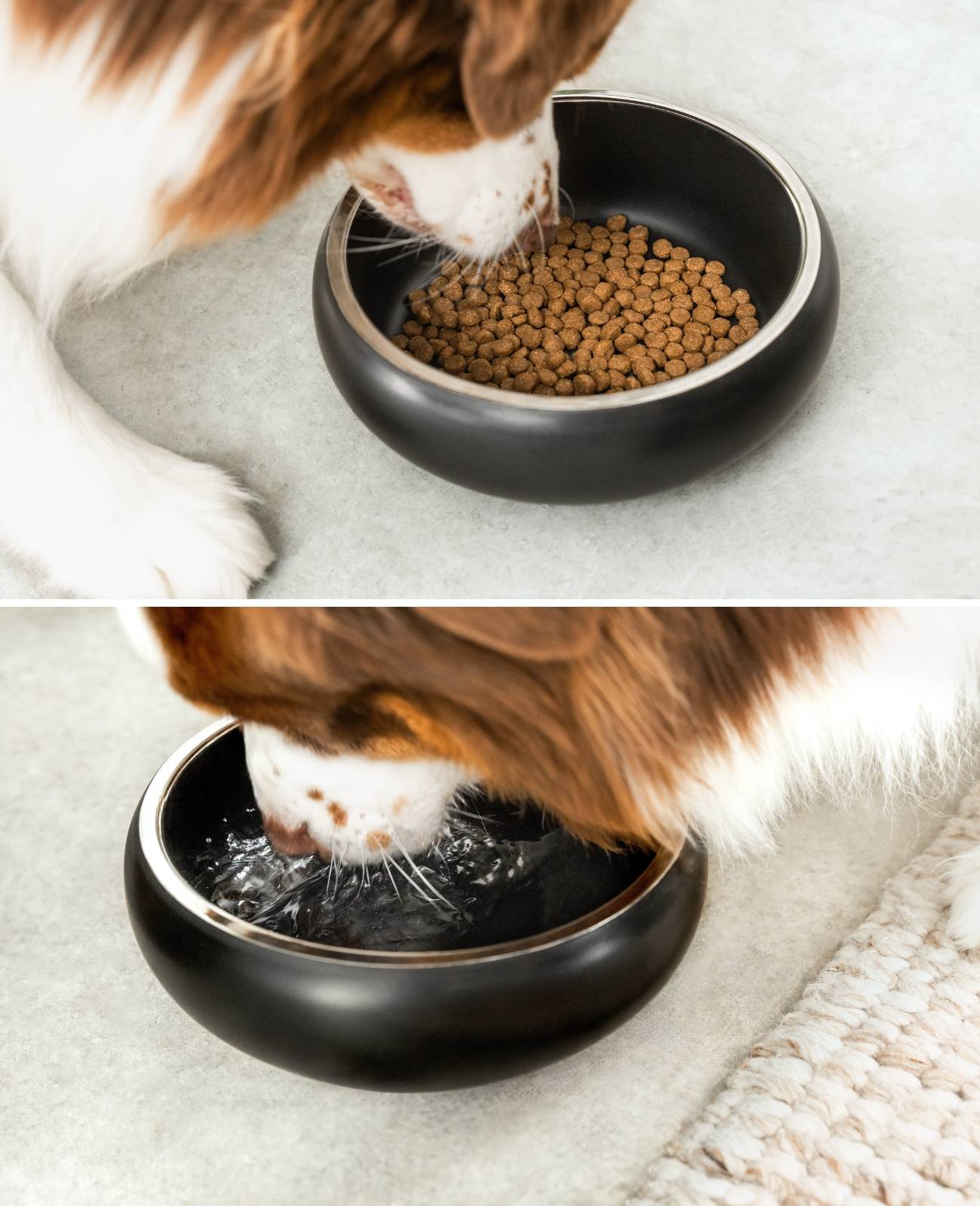 lionto Premium Hundenapf doppelwandig, rostfreier Edelstahlnapf, rutschfest & pflegeleicht, 22 cm Durchmesser, 2000 ml, schwarz