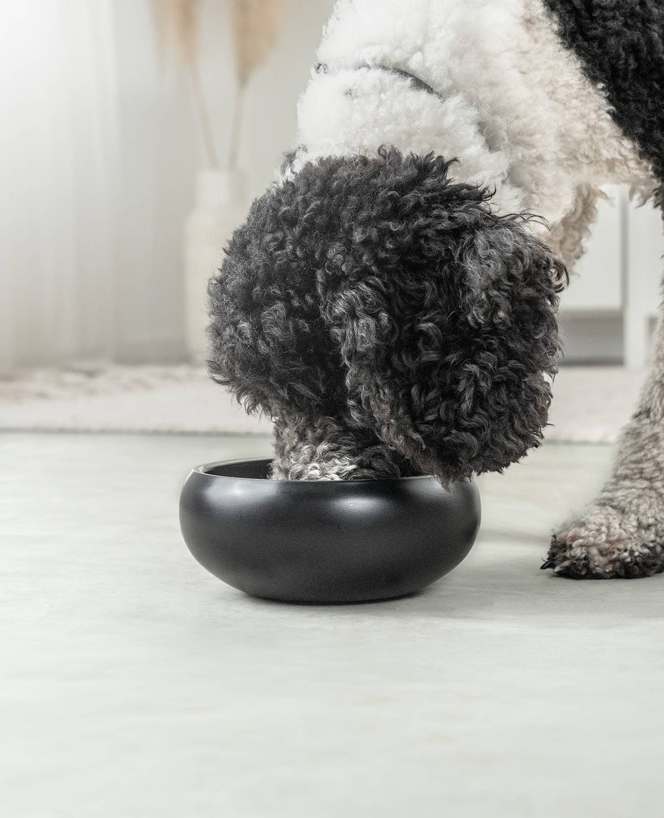 lionto Premium Hundenapf doppelwandig, rostfreier Edelstahlnapf, rutschfest & pflegeleicht, 18 cm Durchmesser, 1070 ml, schwarz