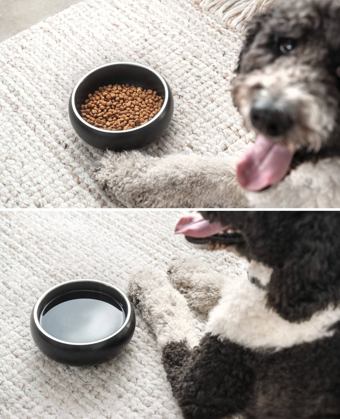 lionto Premium Hundenapf doppelwandig, rostfreier Edelstahlnapf, rutschfest & pflegeleicht, 18 cm Durchmesser, 1070 ml, schwarz