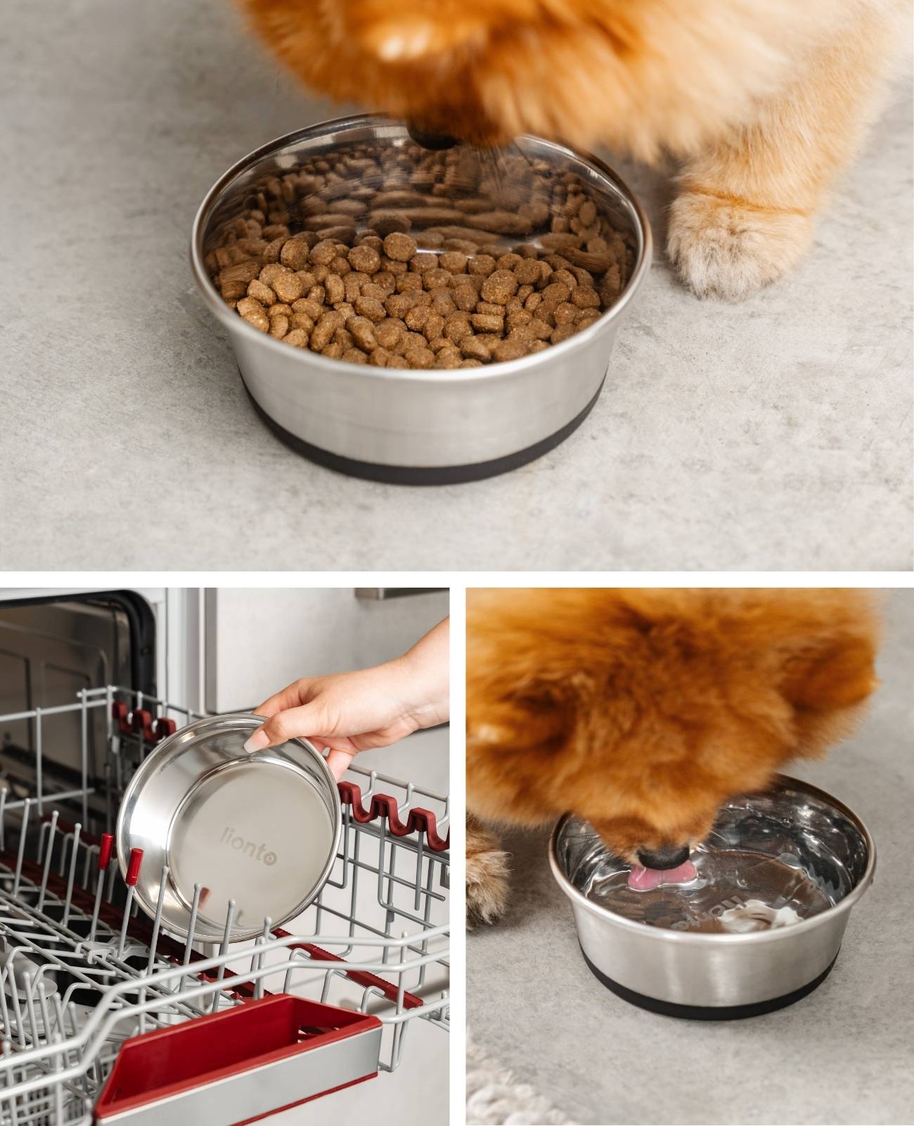 lionto Futternapf aus Edelstahl, robuster, rutschfester Napf für Hunde & Katzen, spülmaschinengeeignet & geruchlos, 600 ml