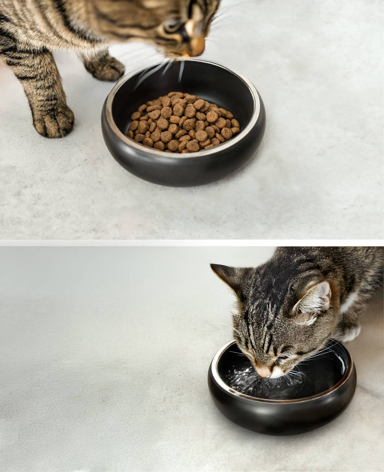 lionto Edelstahlnapf für Katzen, rutschfester Futternapf, handwaschbar & langlebig, 12 cm Durchmesser, 360 ml, schwarz