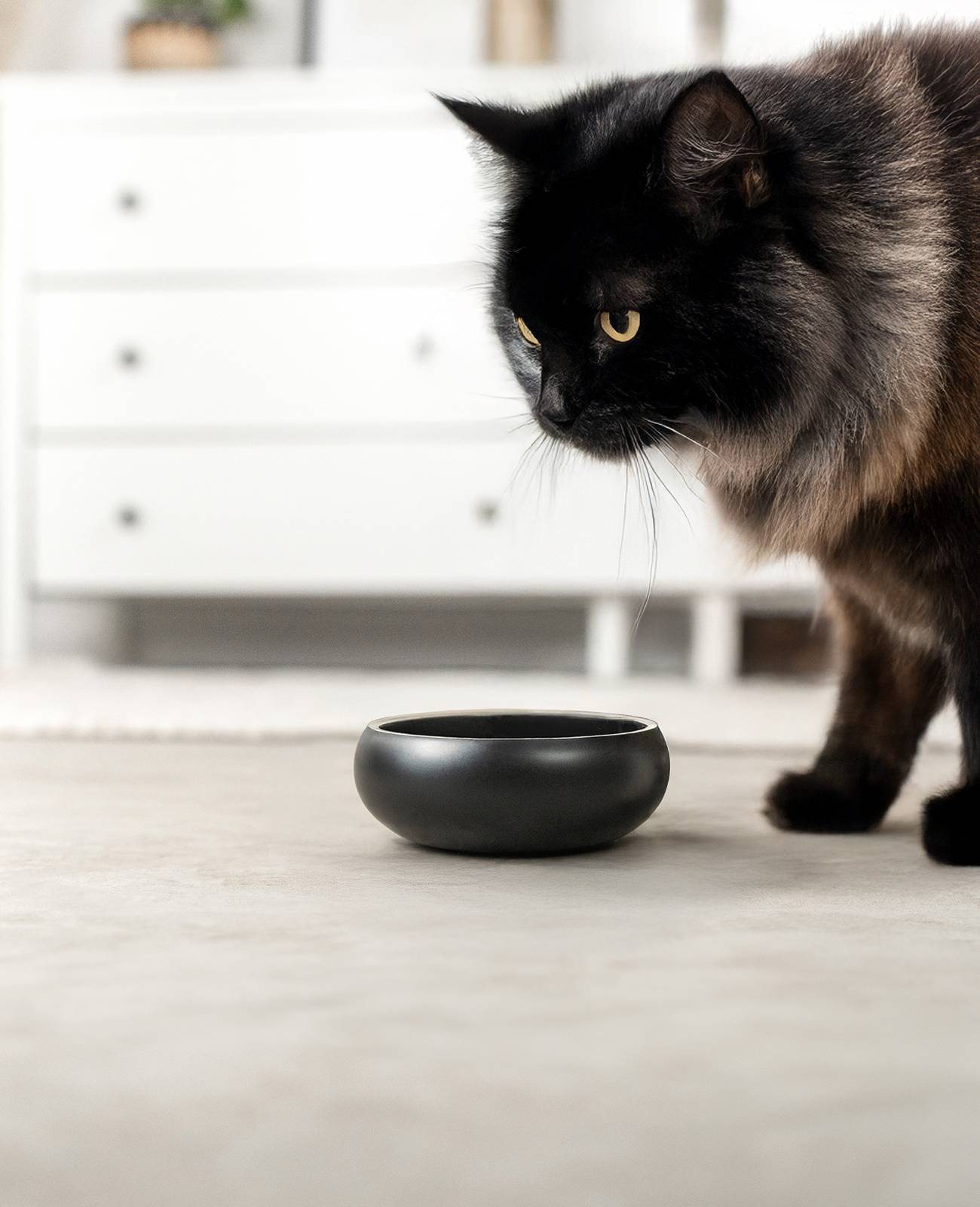 lionto Edelstahlnapf für Katzen, rutschfester Futternapf, handwaschbar & langlebig, 12 cm Durchmesser, 360 ml, schwarz