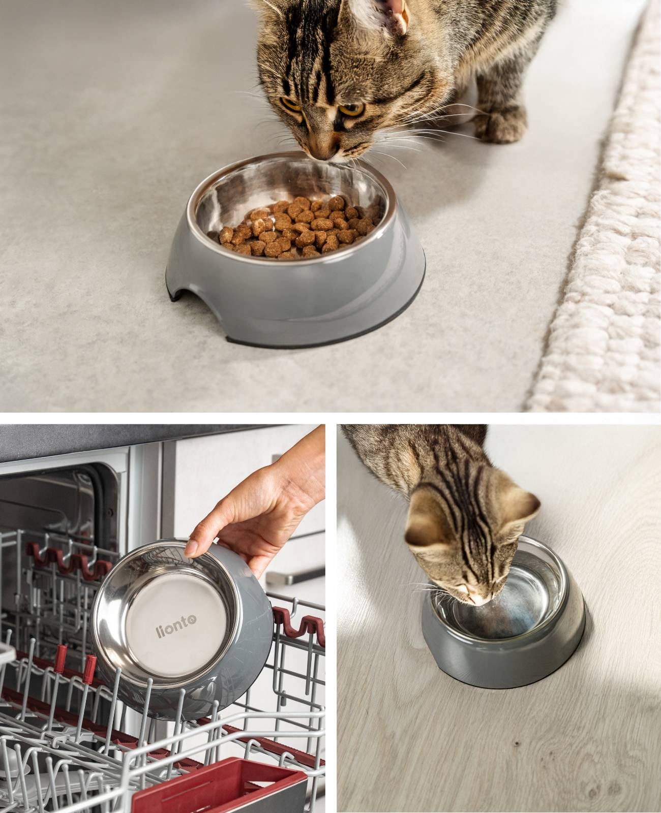 lionto Futter- & Wassernapf für Katzen, hochwertiger Edelstahlnapf im bruchsicheren Melamin-Gehäuse, 210 ml, grau