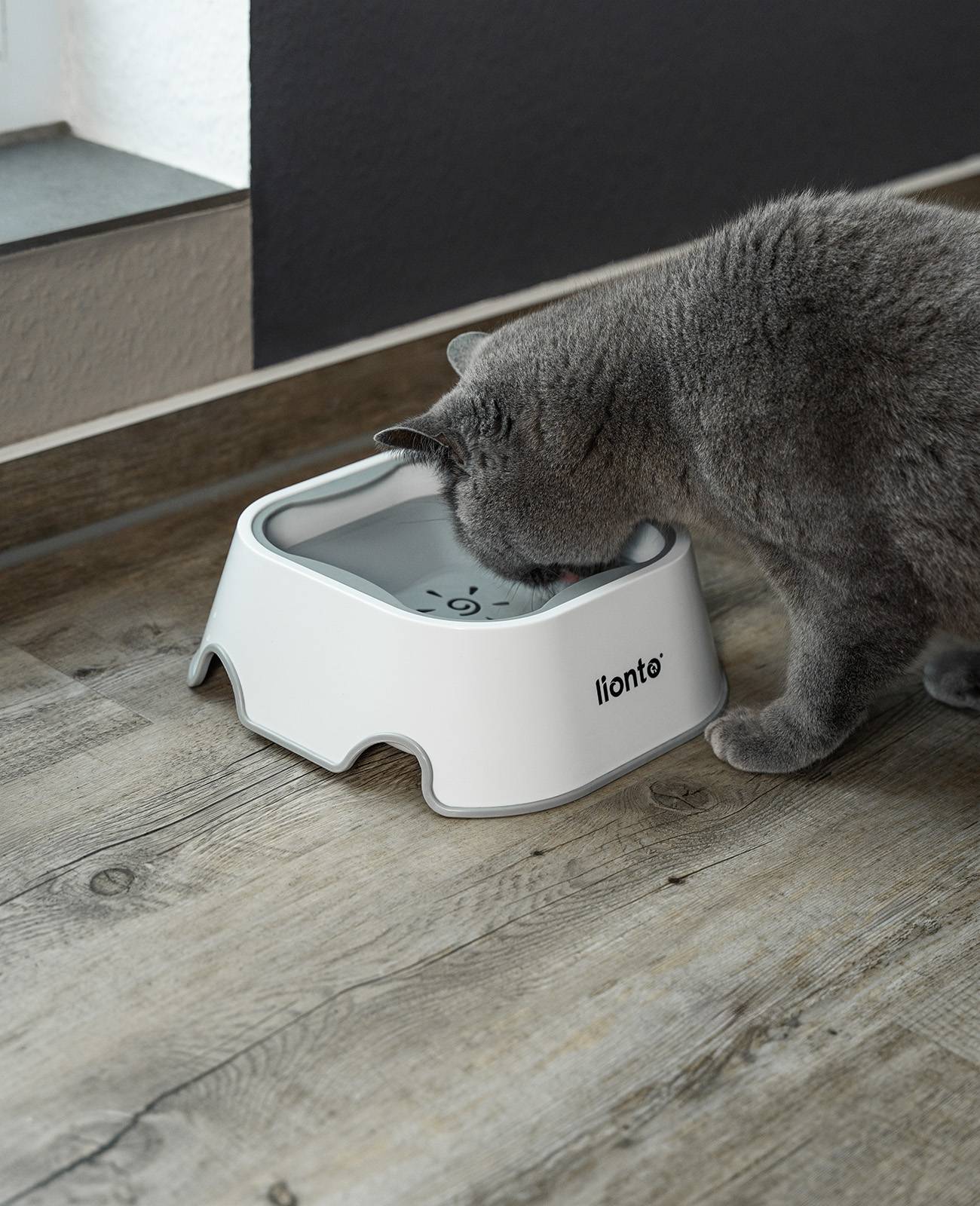 lionto Katzennapf 1 Liter 2-in-1 Anti-Schlabber & Anti-Schling Napf, spritzfrei, hygienisch & rutschfest
