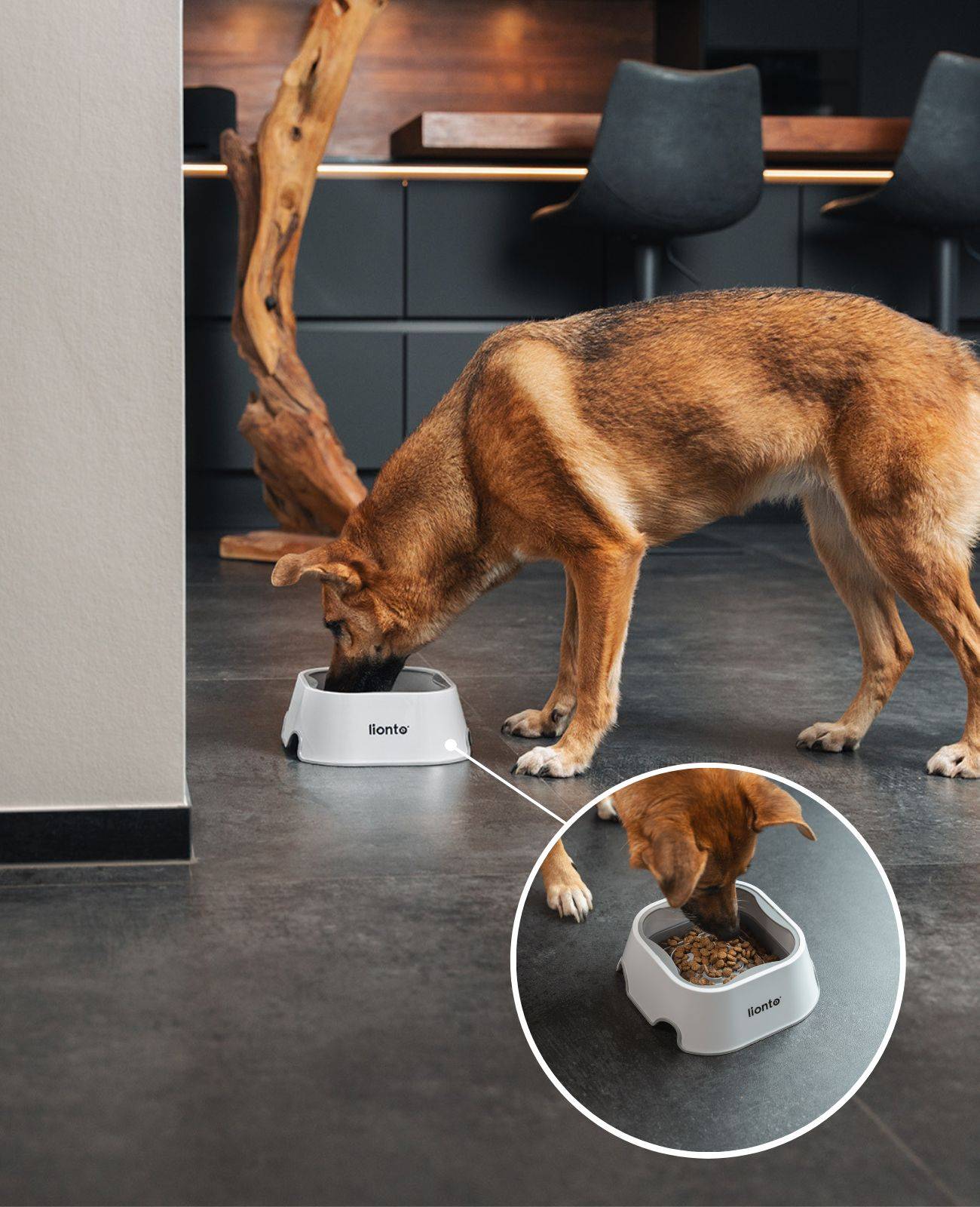 lionto Wassernapf 1 Liter Anti-Schlabber 2-in-1 Napf mit schwimmender Scheibe, spritzfrei & hygienisch