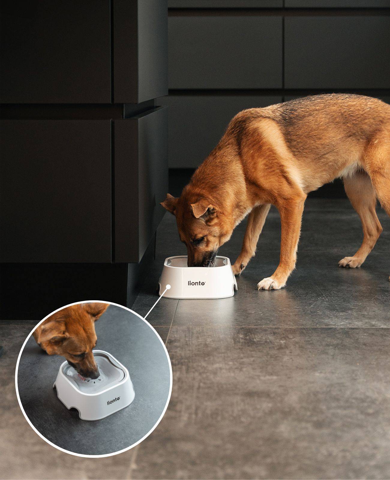 lionto Wassernapf 1 Liter Anti-Schlabber 2-in-1 Napf mit schwimmender Scheibe, spritzfrei & hygienisch