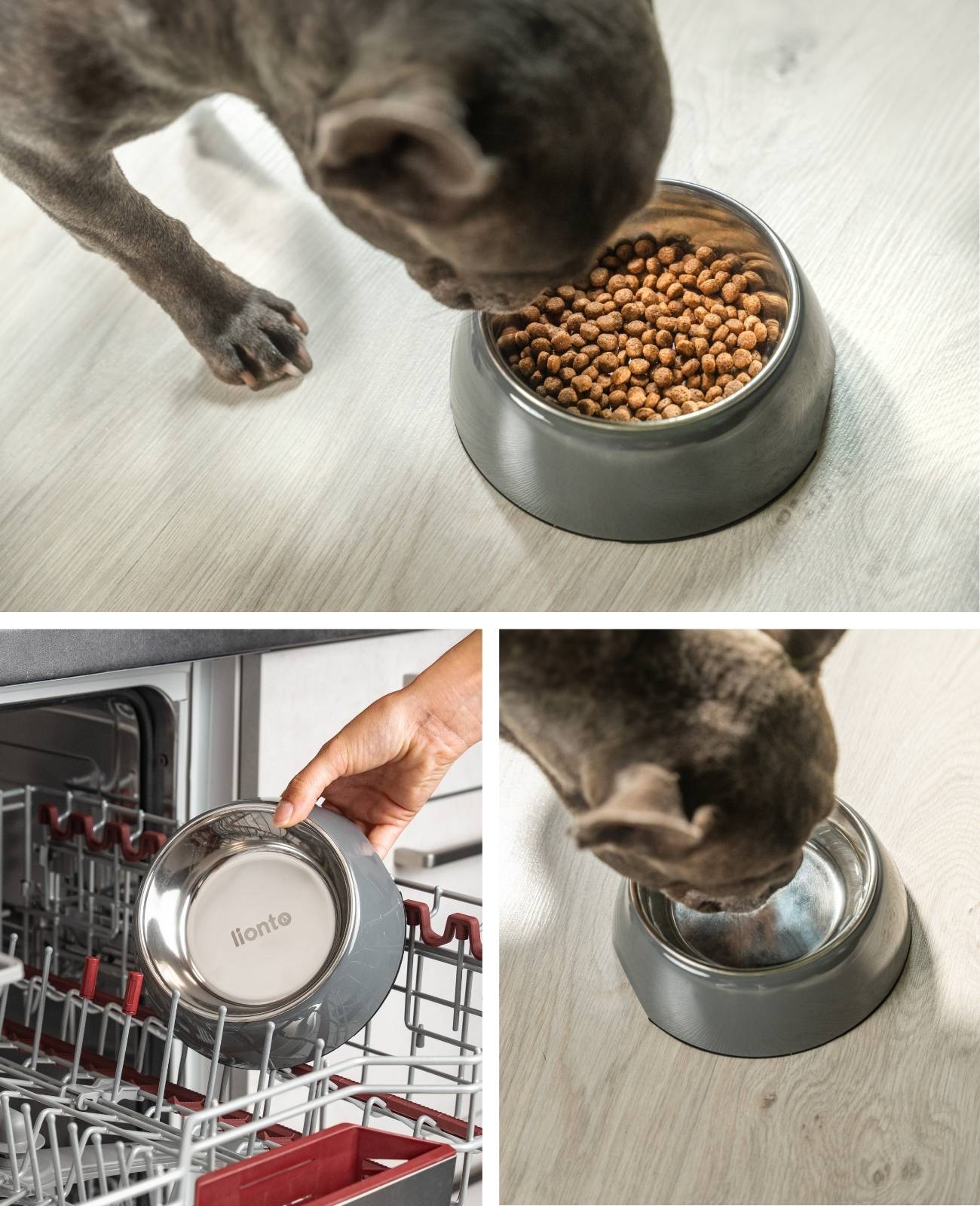 lionto Futternapf für Hunde, robuster Edelstahlnapf im Melaminkorpus mit Anti-Rutsch-Ring, langlebig & pflegeleicht, 420 ml, grau