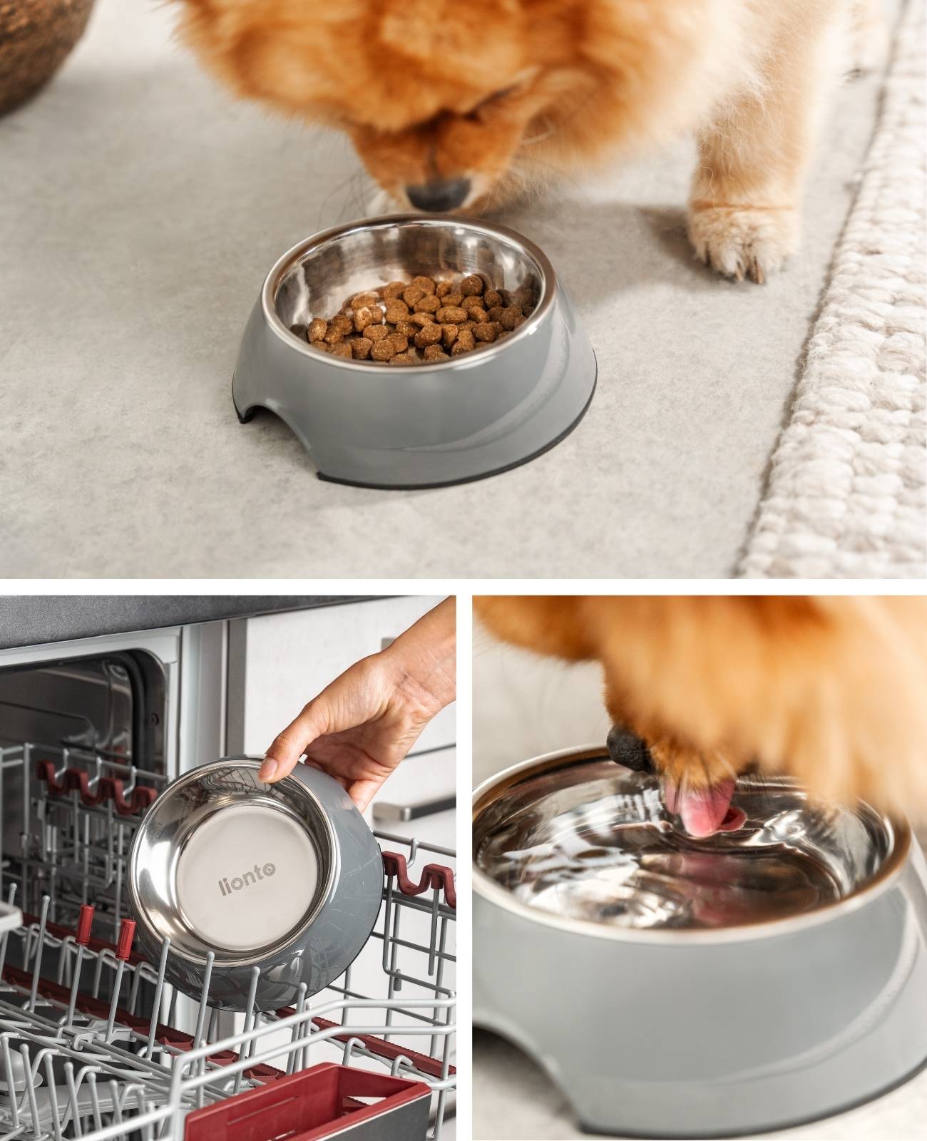 lionto Futternapf für Hunde, robuster Edelstahlnapf im Melaminkorpus mit Anti-Rutsch-Ring, langlebig & pflegeleicht, 210 ml, grau