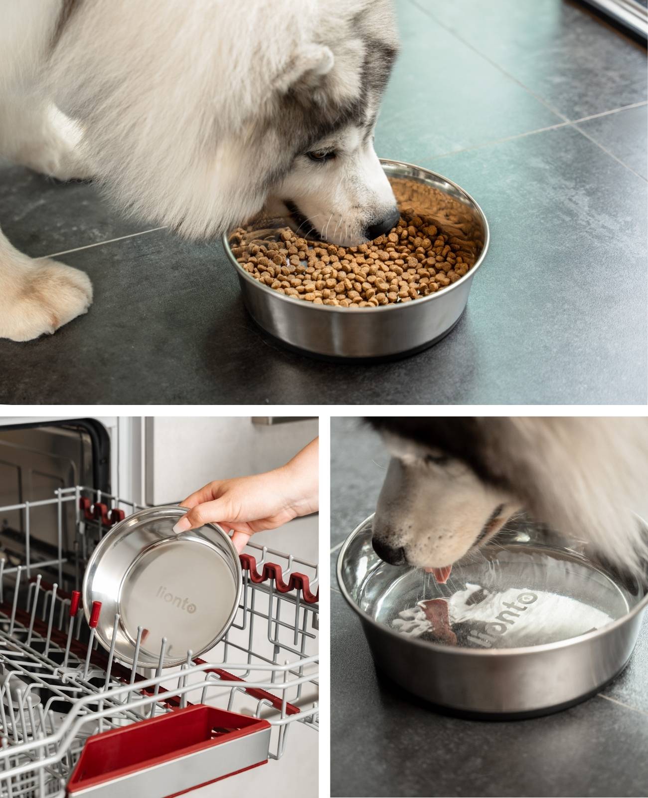 lionto Futternapf aus Edelstahl, robuster, rutschfester Napf für Hunde & Katzen, spülmaschinengeeignet & geruchlos, 2800 ml