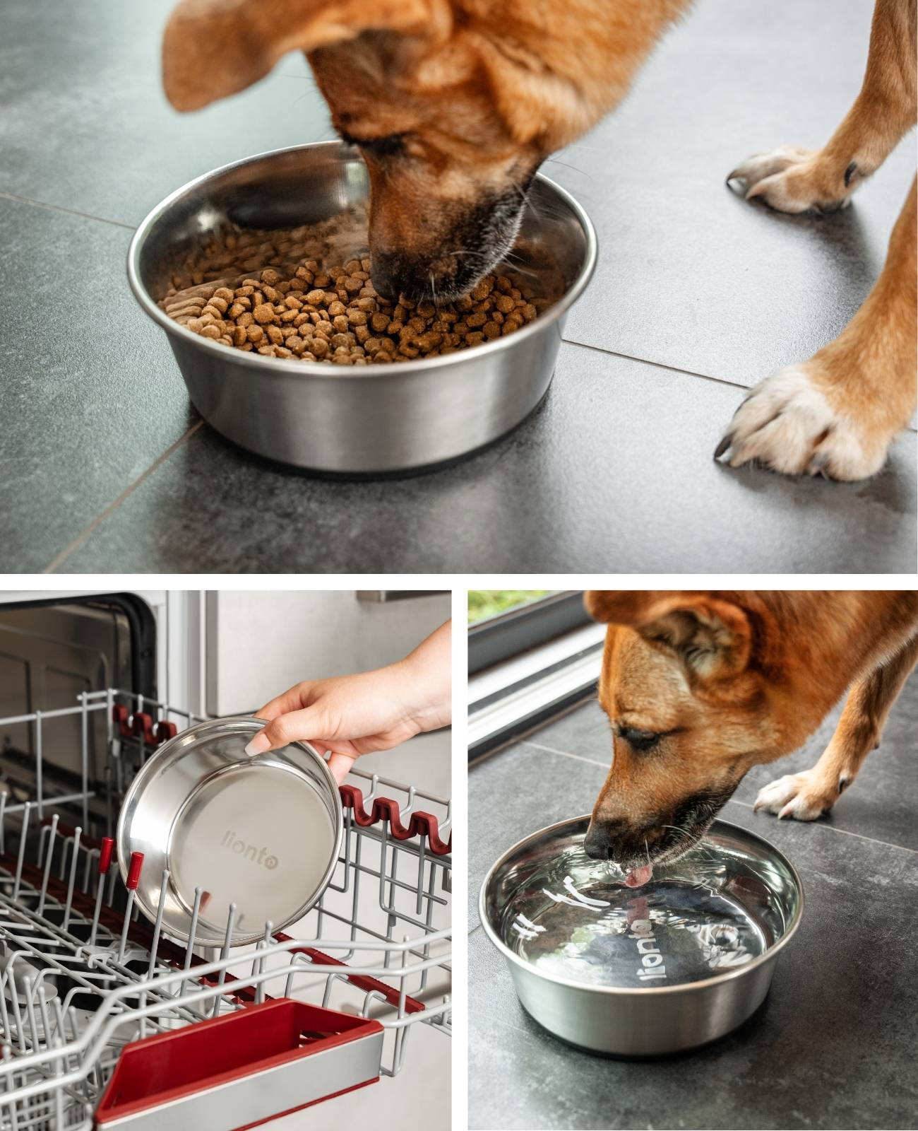 lionto 2er Set Futternapf aus Edelstahl, robuster, rutschfester Napf für Hunde & Katzen, spülmaschinengeeignet & geruchlos, 1900 ml