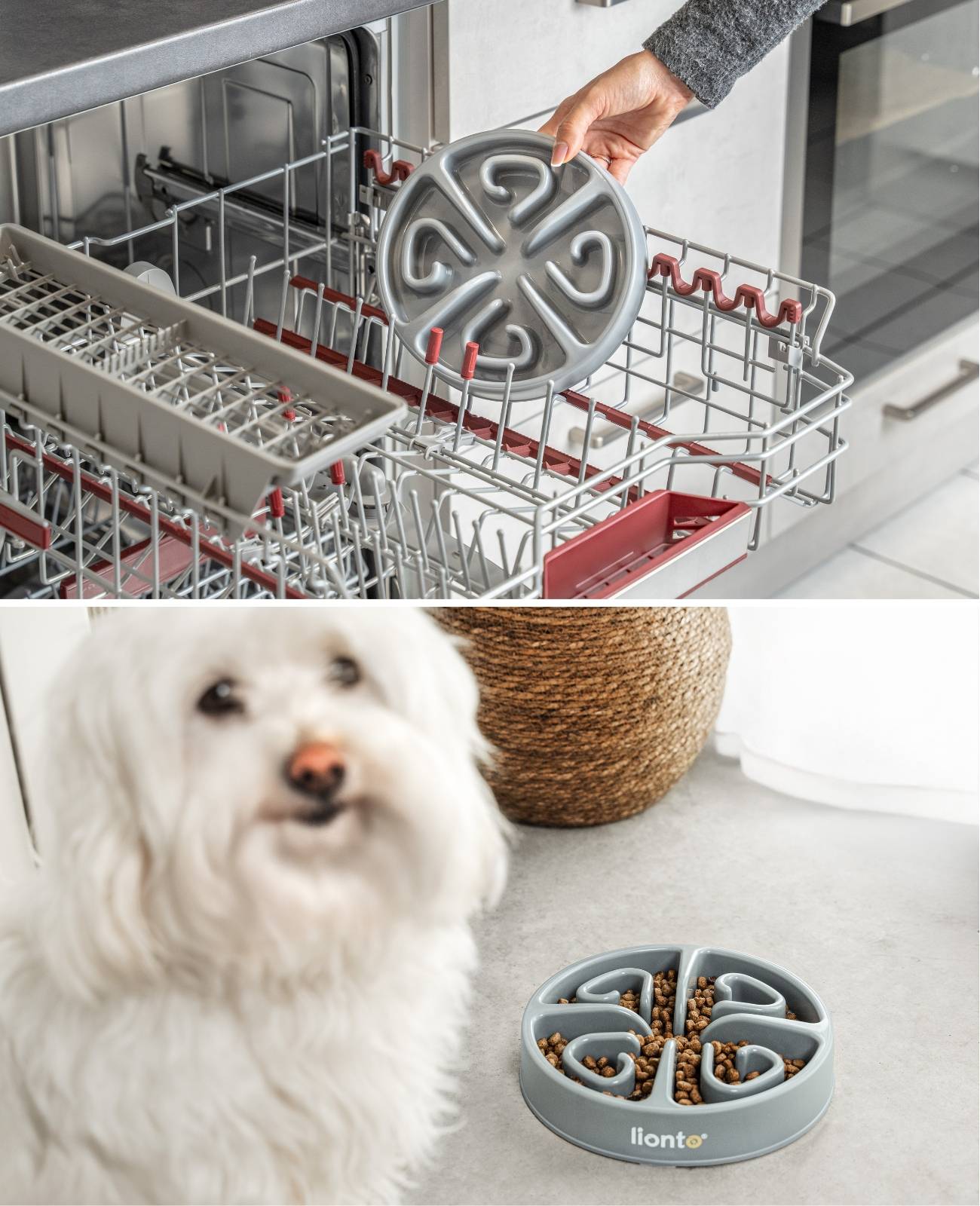 lionto Antischlingnapf für Hunde & Katzen mit Anti-Rutsch-Füßen, spülmaschinenfest & robust, 20 cm, hellgrau