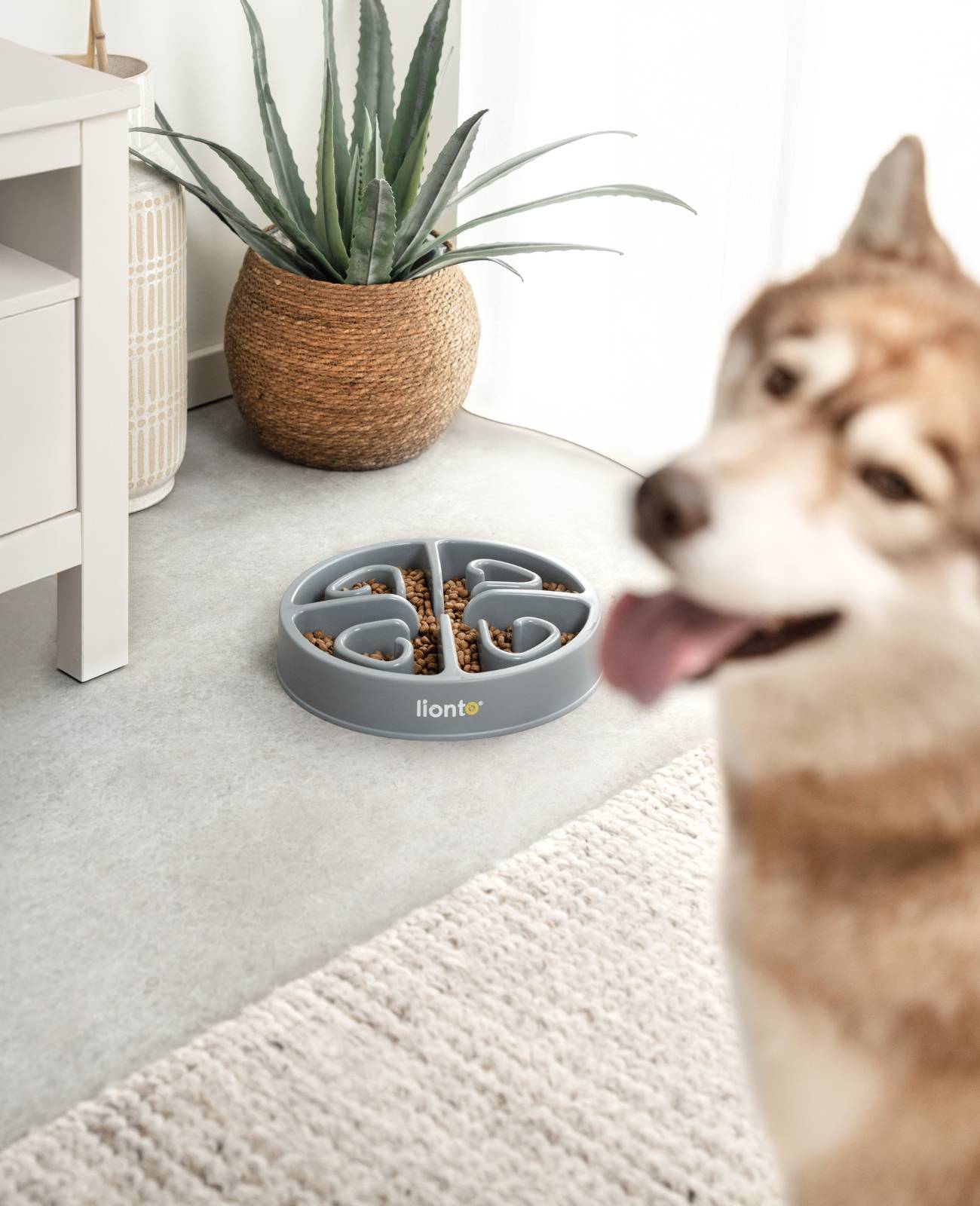 lionto Antischlingnapf für Hunde & Katzen mit Anti-Rutsch-Füßen, spülmaschinenfest & robust, 30 cm, hellgrau