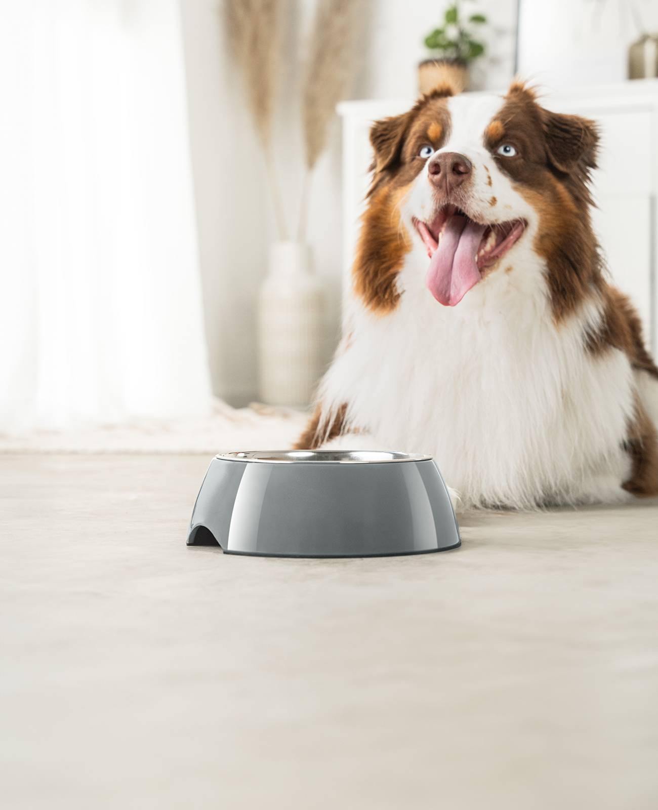 lionto Futternapf für Hunde, robuster Edelstahlnapf im Melaminkorpus mit Anti-Rutsch-Ring, langlebig & pflegeleicht, 940 ml, grau