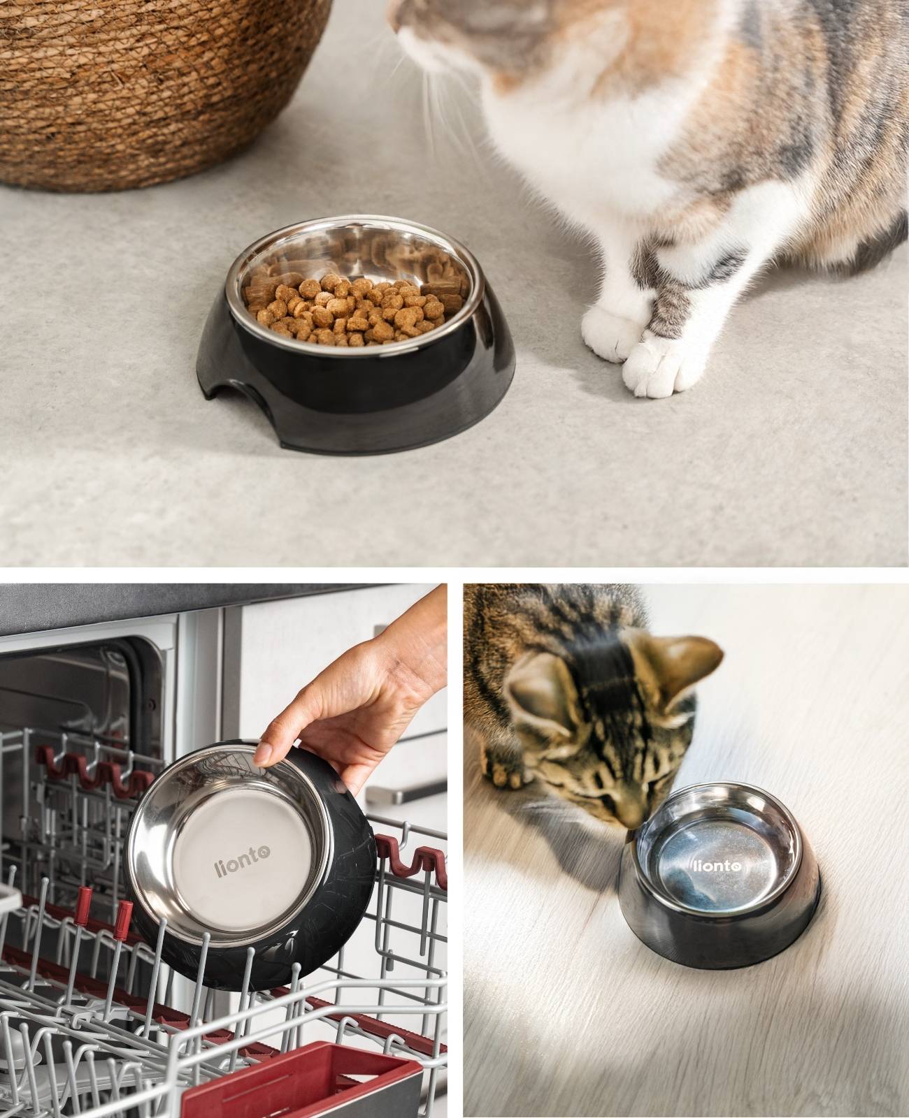 lionto Futter- & Wassernapf für Katzen, hochwertiger Edelstahlnapf im bruchsicheren Melamin-Gehäuse, 210 ml, schwarz