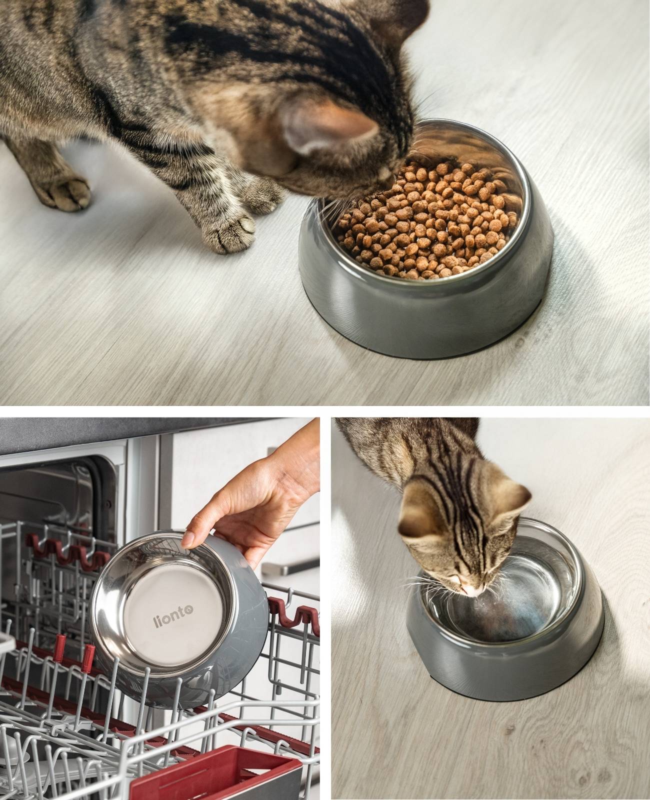 lionto Futter- & Wassernapf für Katzen, hochwertiger Edelstahlnapf im bruchsicheren Melamin-Gehäuse, 420 ml, grau