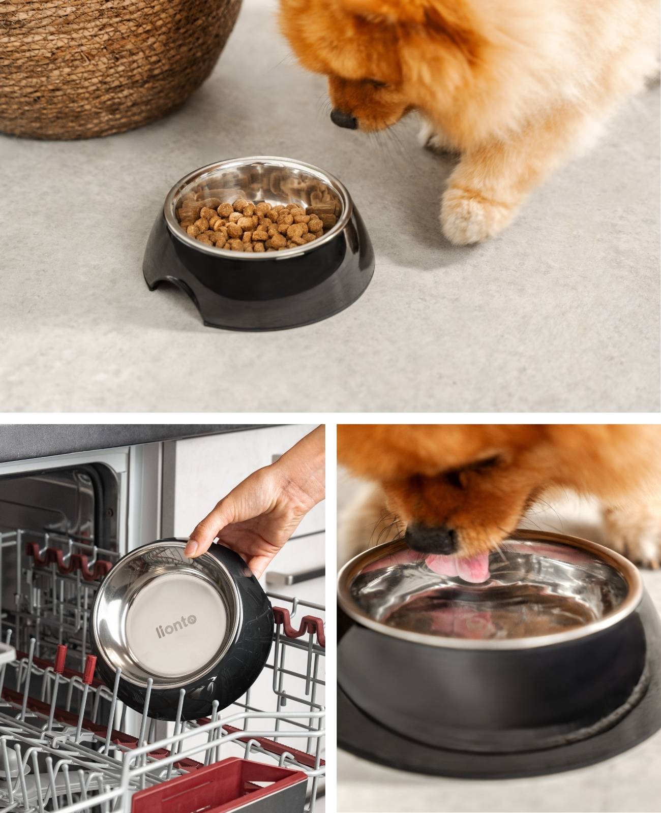 lionto Futternapf für Hunde, robuster Edelstahlnapf im Melaminkorpus mit Anti-Rutsch-Ring, langlebig & pflegeleicht, 210 ml, schwarz