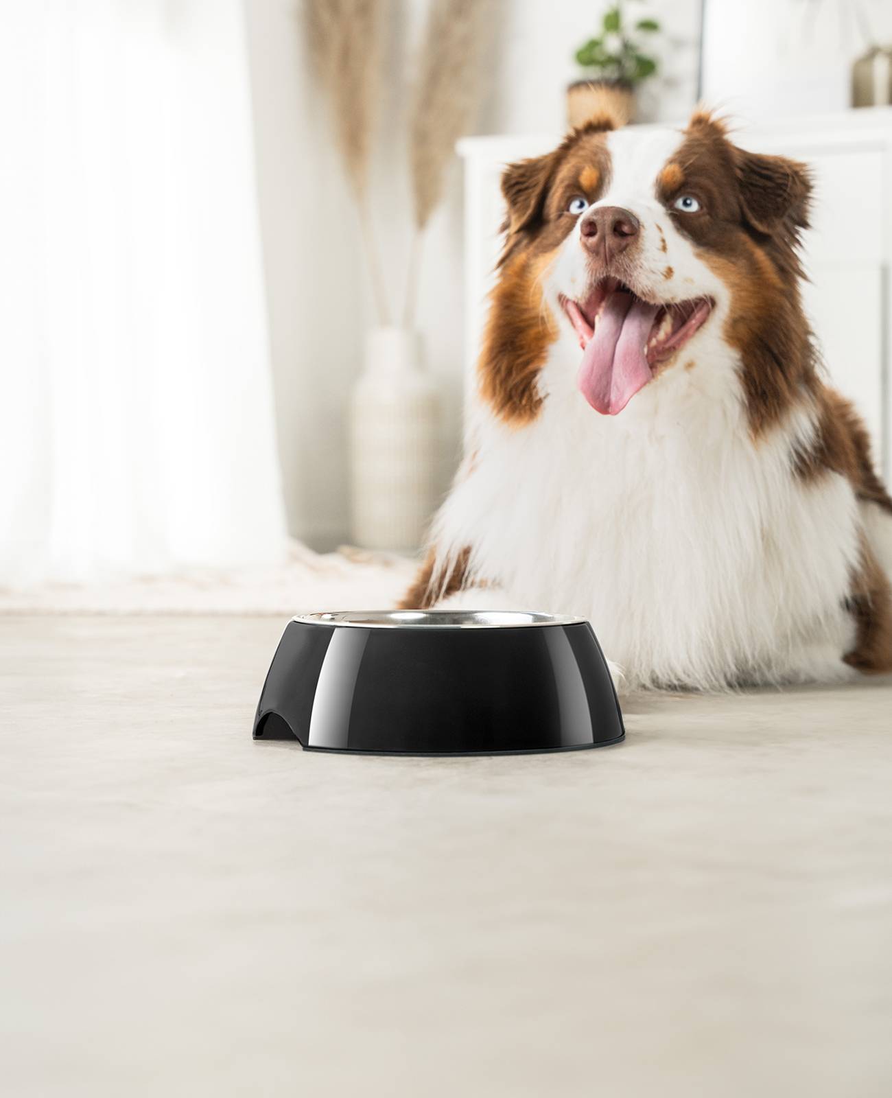 lionto Futternapf für Hunde, robuster Edelstahlnapf im Melaminkorpus mit Anti-Rutsch-Ring, langlebig & pflegeleicht, 940 ml, schwarz