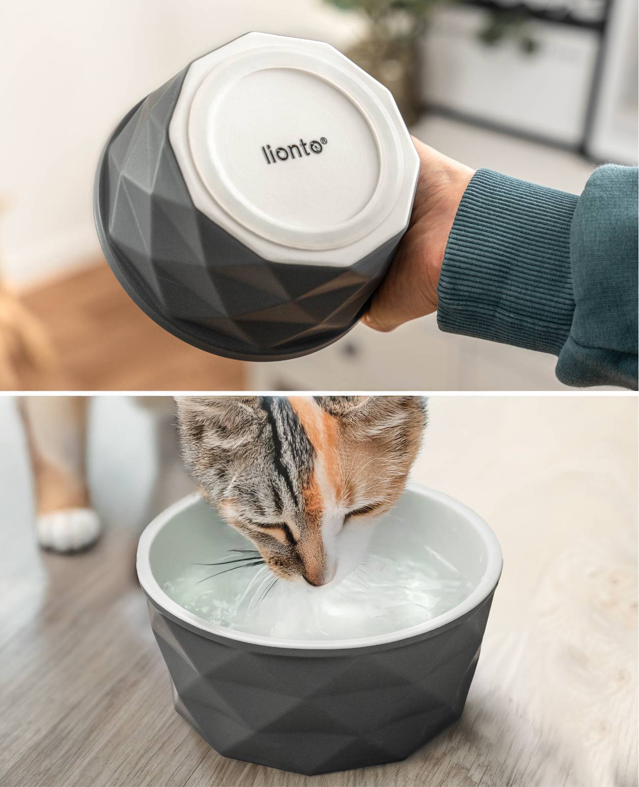 lionto Katzenfutternapf aus Keramik, eleganter, rutschfester Napf mit Silikonboden, pflegeleicht & langlebig, 550 ml, dunkelgrau/hellgrau matt