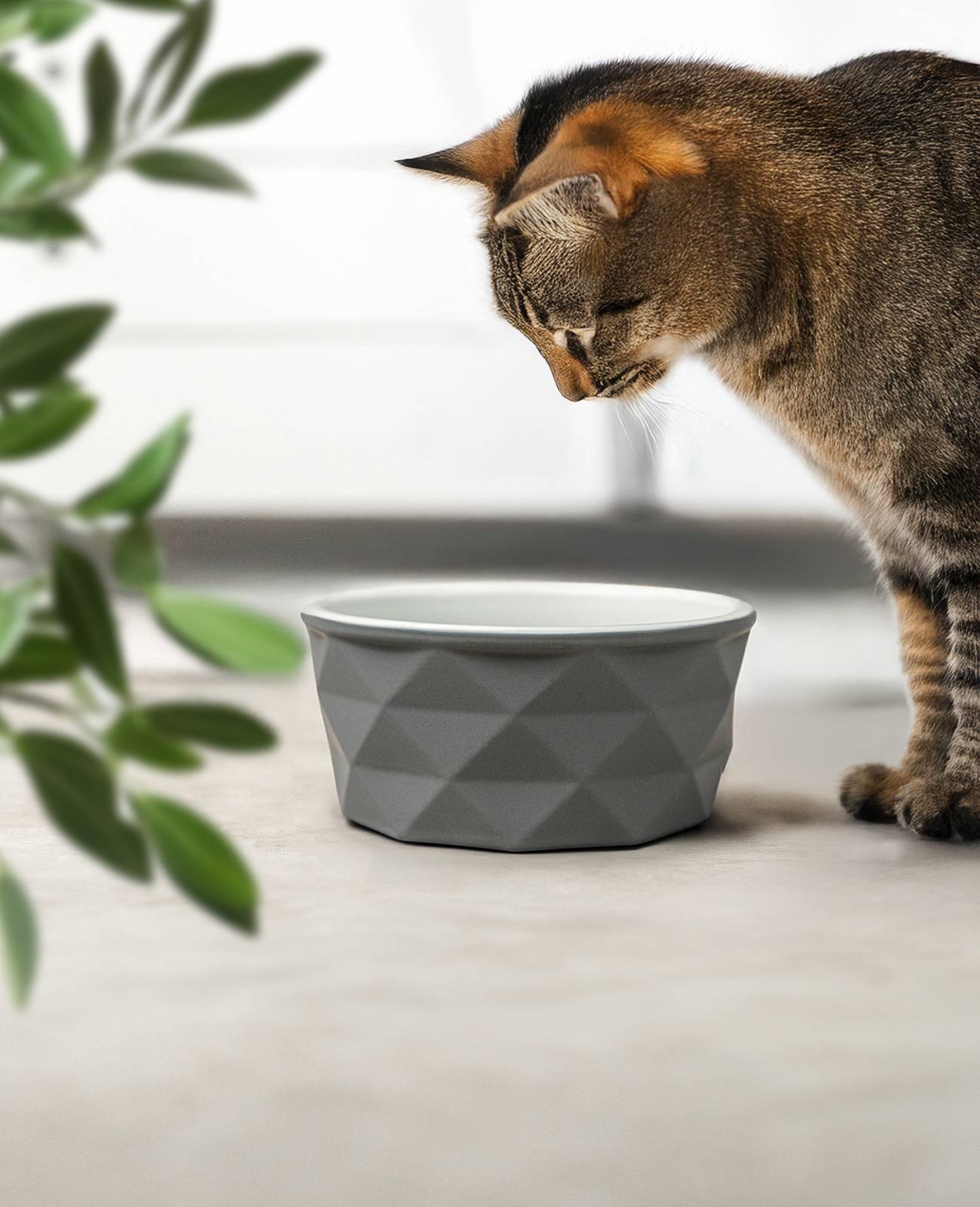 lionto Katzenfutternapf aus Keramik, eleganter, rutschfester Napf mit Silikonboden, pflegeleicht & langlebig, 550 ml, dunkelgrau/hellgrau matt