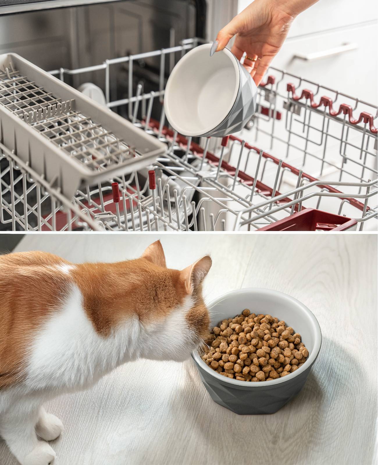 lionto Katzenfutternapf aus Keramik, eleganter, rutschfester Napf mit Silikonboden, pflegeleicht & langlebig, 550 ml, dunkelgrau/hellgrau matt