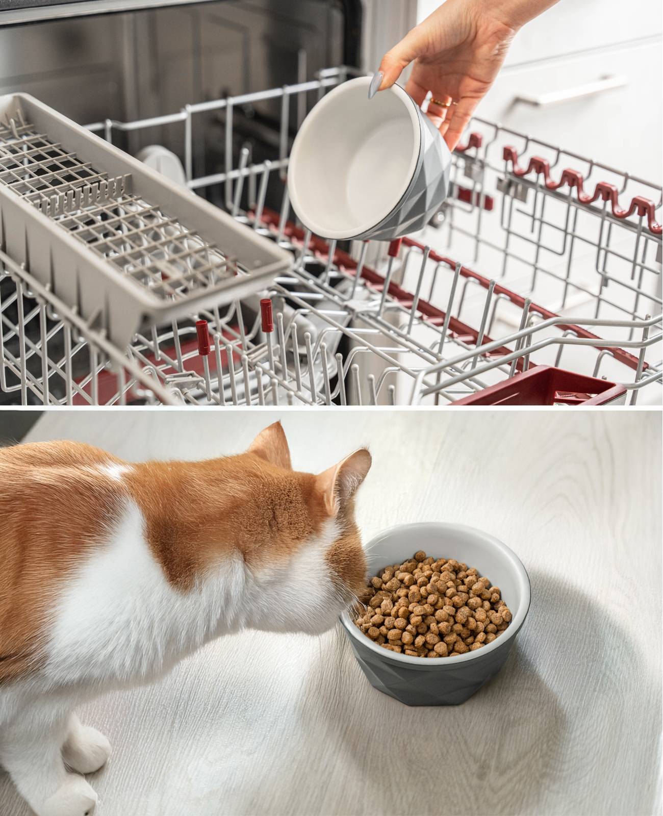 lionto Katzenfutternapf aus Keramik, eleganter, rutschfester Napf mit Silikonboden, pflegeleicht & langlebig, 350 ml, dunkelgrau/hellgrau matt