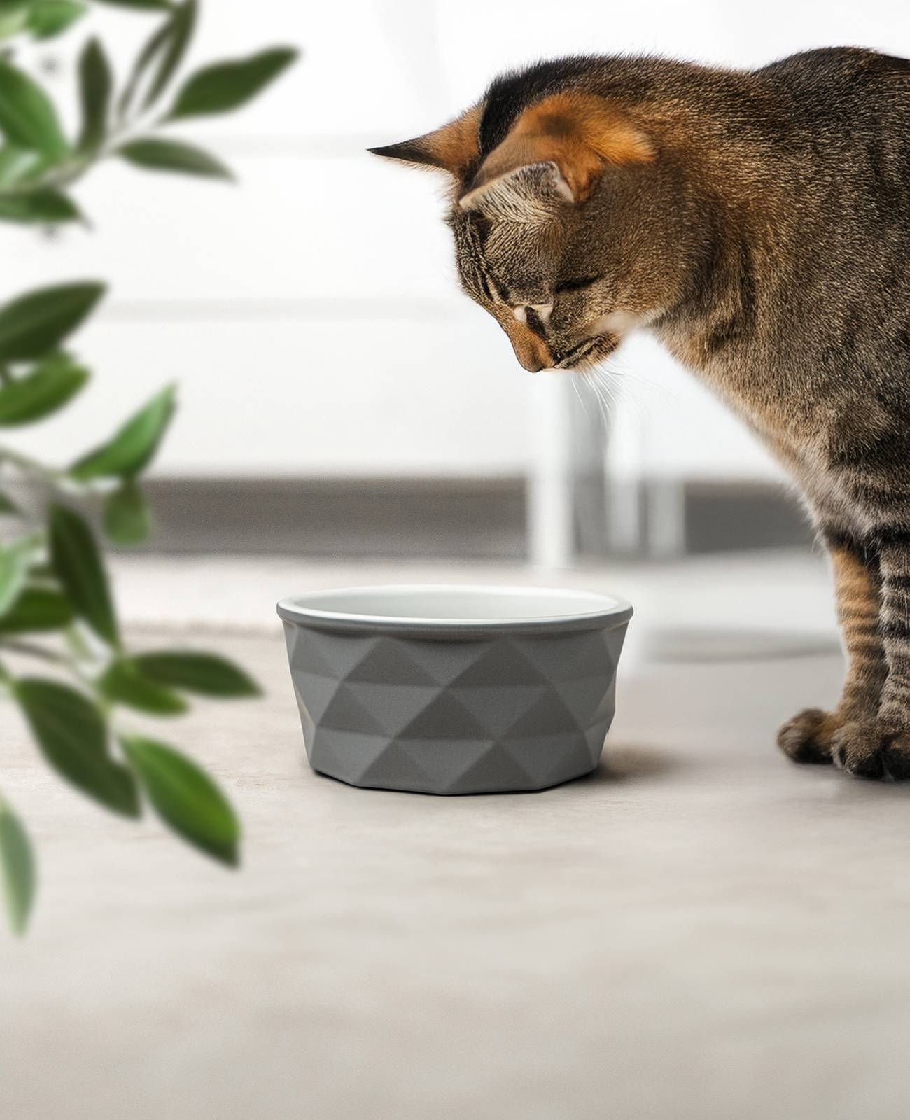 lionto Katzenfutternapf aus Keramik, eleganter, rutschfester Napf mit Silikonboden, pflegeleicht & langlebig, 350 ml, dunkelgrau/hellgrau matt