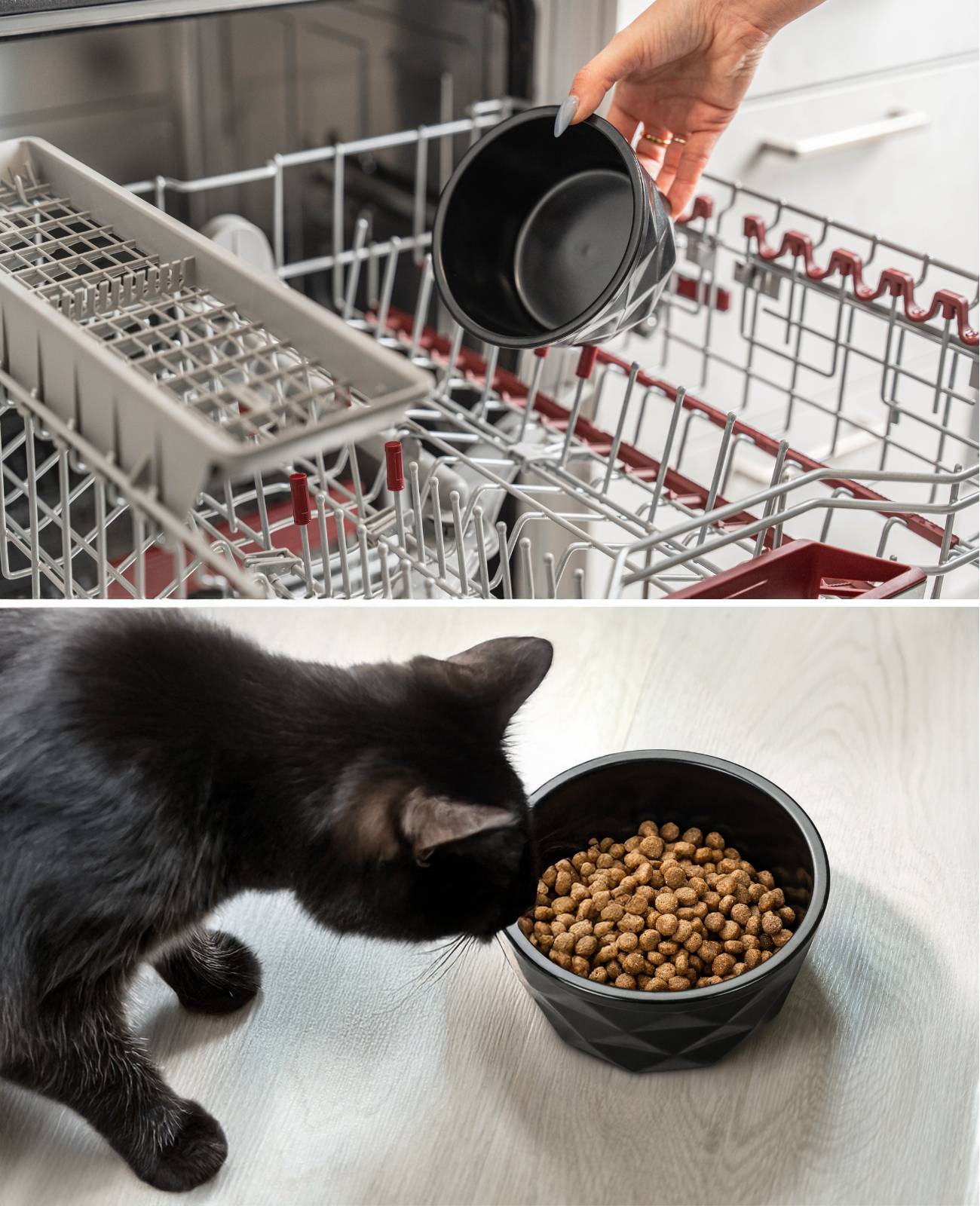 lionto Katzenfutternapf aus Keramik, eleganter, rutschfester Napf mit Silikonboden, pflegeleicht & langlebig, 550 ml, schwarz matt