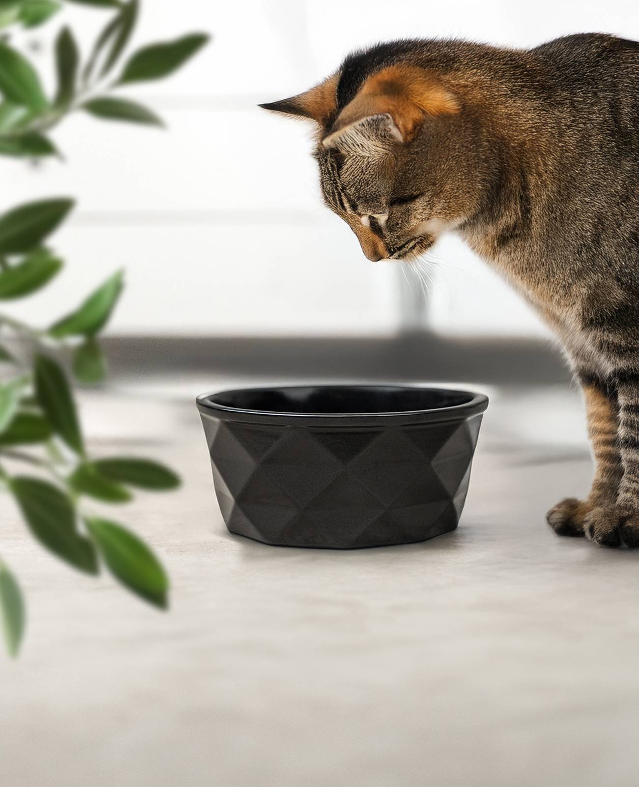 lionto Katzenfutternapf aus Keramik, eleganter, rutschfester Napf mit Silikonboden, pflegeleicht & langlebig, 550 ml, schwarz matt