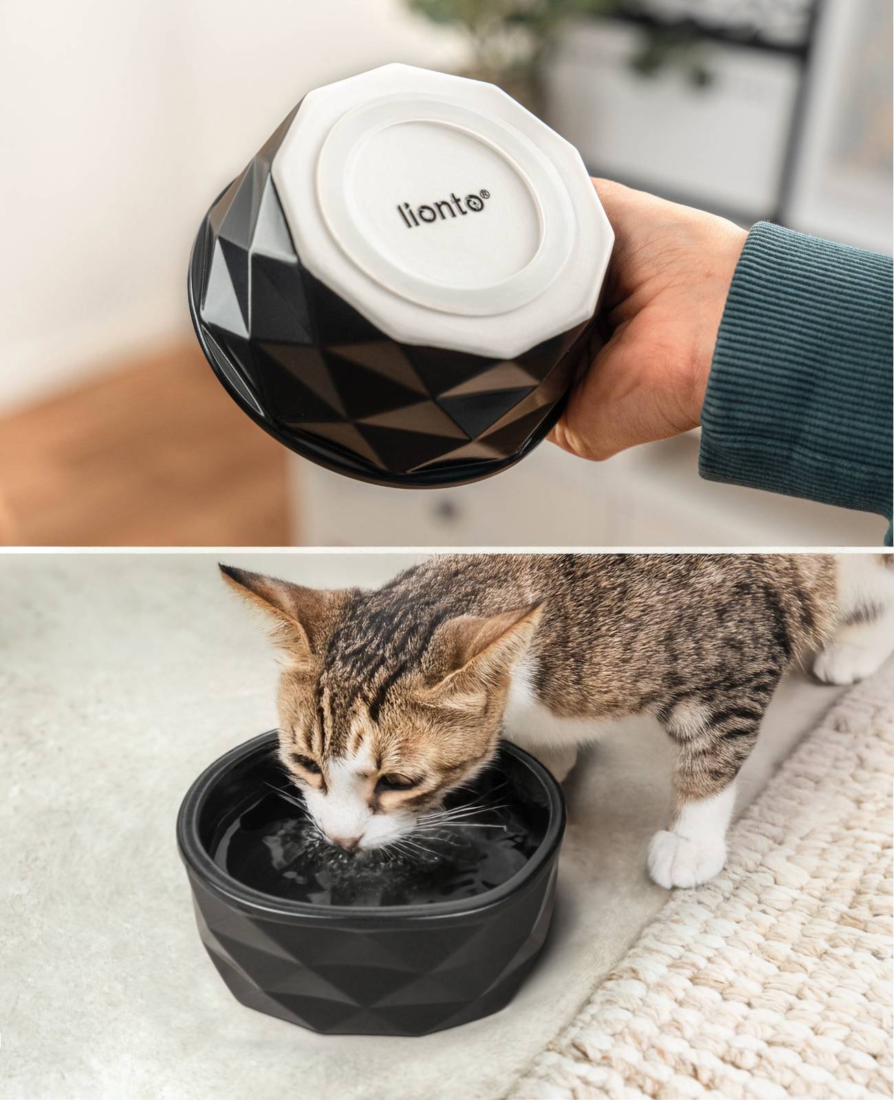 lionto Katzenfutternapf aus Keramik, eleganter, rutschfester Napf mit Silikonboden, pflegeleicht & langlebig, 550 ml, schwarz matt