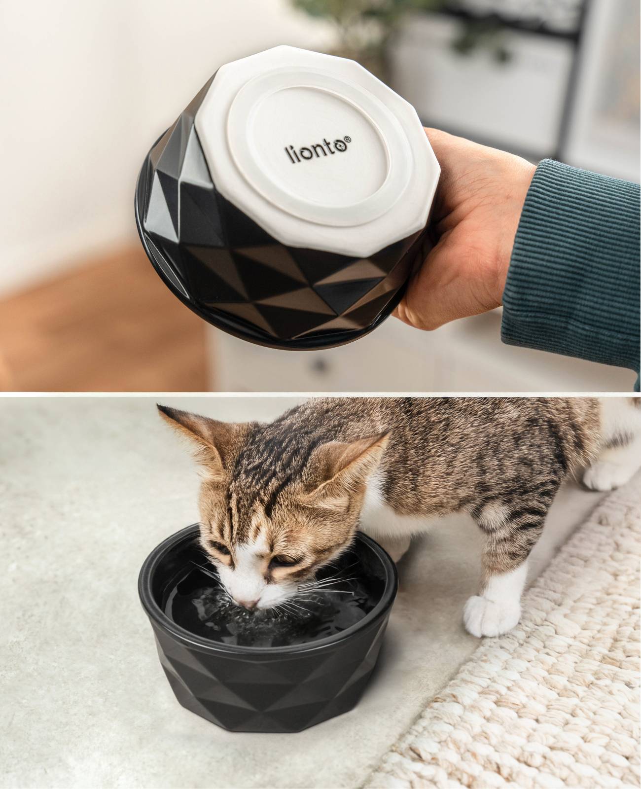 lionto Katzenfutternapf aus Keramik, eleganter, rutschfester Napf mit Silikonboden, pflegeleicht & langlebig, 350 ml, schwarz matt