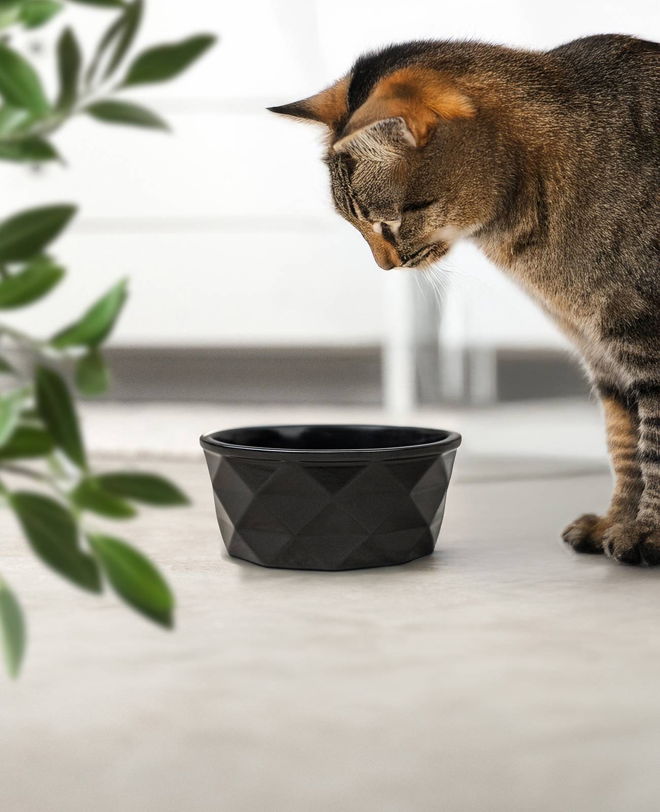 lionto Katzenfutternapf aus Keramik, eleganter, rutschfester Napf mit Silikonboden, pflegeleicht & langlebig, 350 ml, schwarz matt