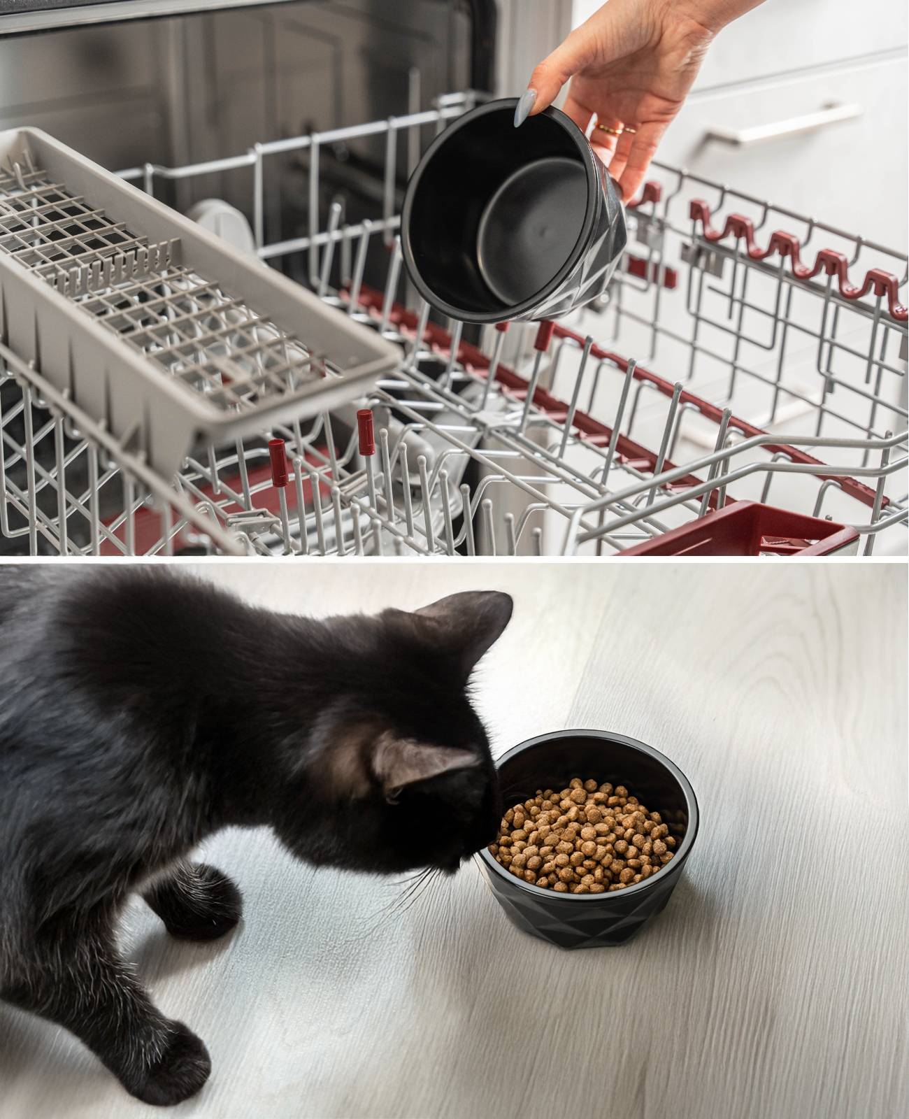 lionto Katzenfutternapf aus Keramik, eleganter, rutschfester Napf mit Silikonboden, pflegeleicht & langlebig, 350 ml, schwarz matt