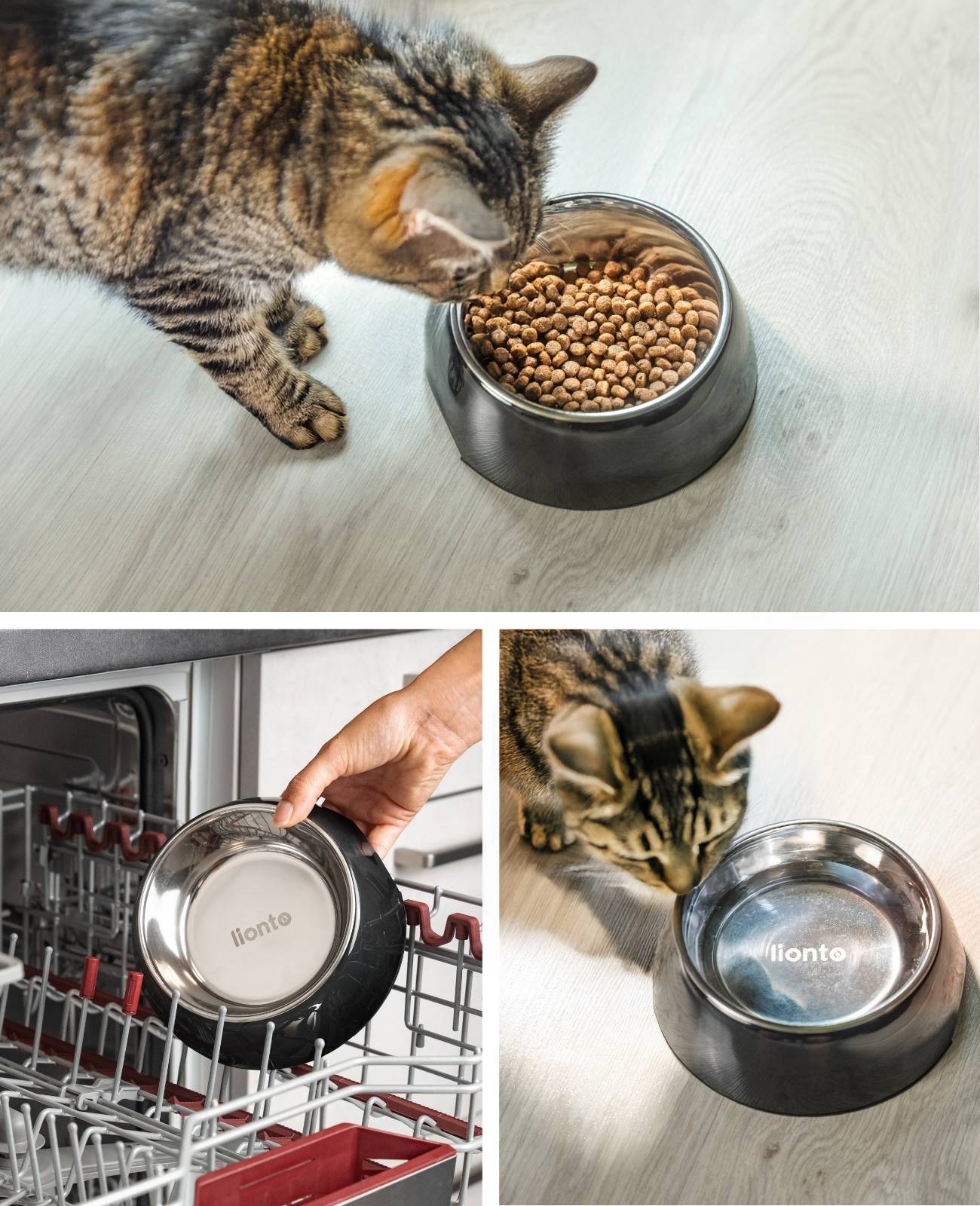 lionto Futter- & Wassernapf für Katzen, hochwertiger Edelstahlnapf im bruchsicheren Melamin-Gehäuse, 420 ml, schwarz