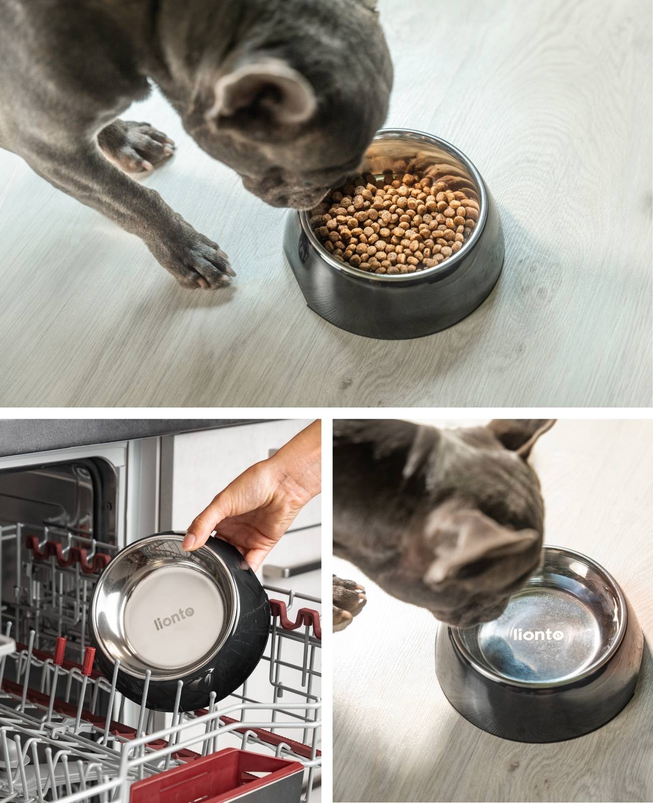 lionto Futternapf für Hunde, robuster Edelstahlnapf im Melaminkorpus mit Anti-Rutsch-Ring, langlebig & pflegeleicht, 420 ml, schwarz