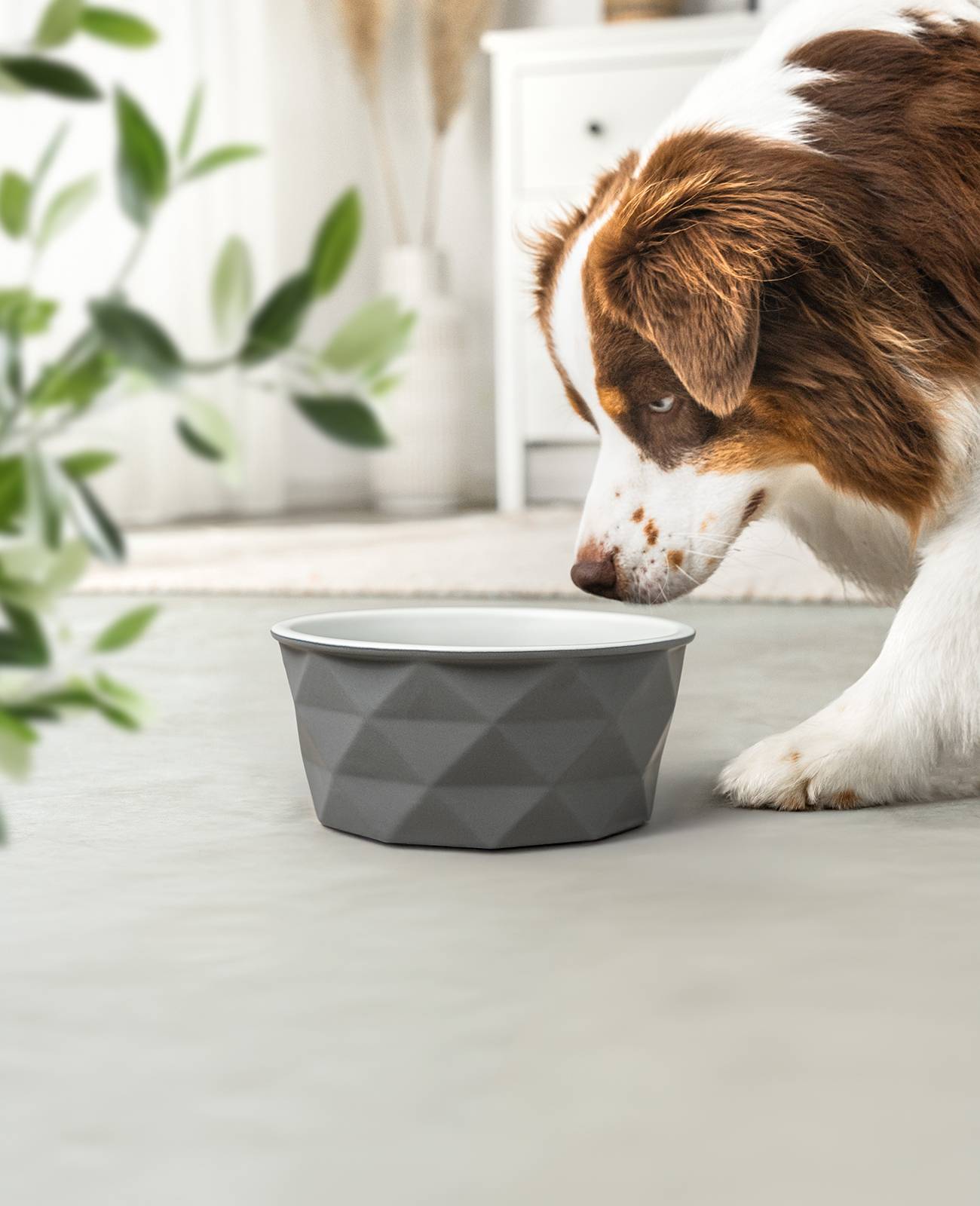 lionto Keramik Futternapf, hochwertiger Napf für Hunde & Katzen, spülmaschinengeeignet, rutschfest & stilvoll, 1900 ml, dunkelgrau/hellgrau matt