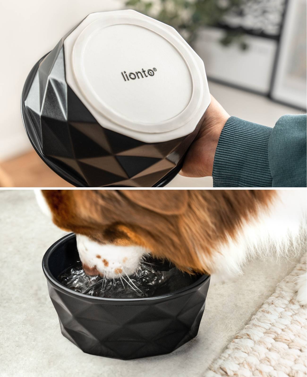 lionto Keramik Futternapf, hochwertiger Napf für Hunde & Katzen, spülmaschinengeeignet, rutschfest & stilvoll, 1900 ml, schwarz matt