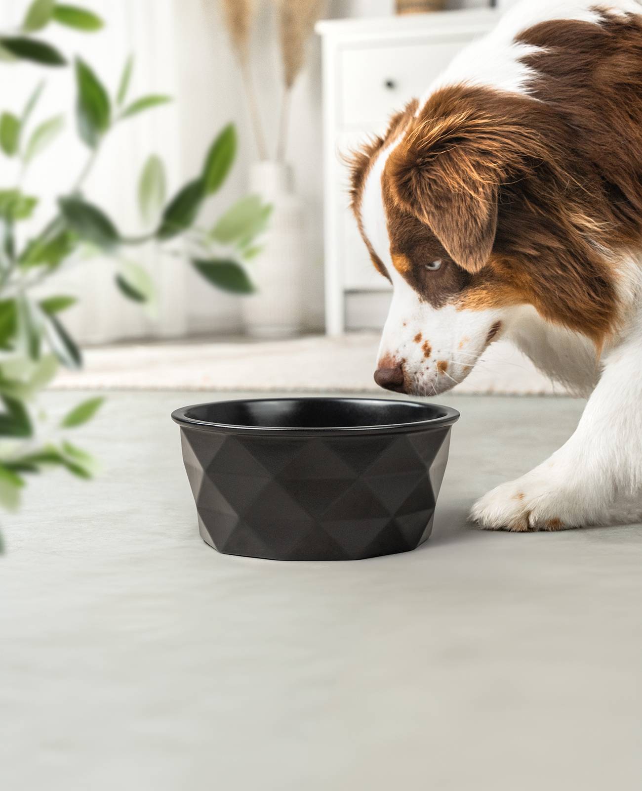 lionto Keramik Futternapf, hochwertiger Napf für Hunde & Katzen, spülmaschinengeeignet, rutschfest & stilvoll, 1900 ml, schwarz matt