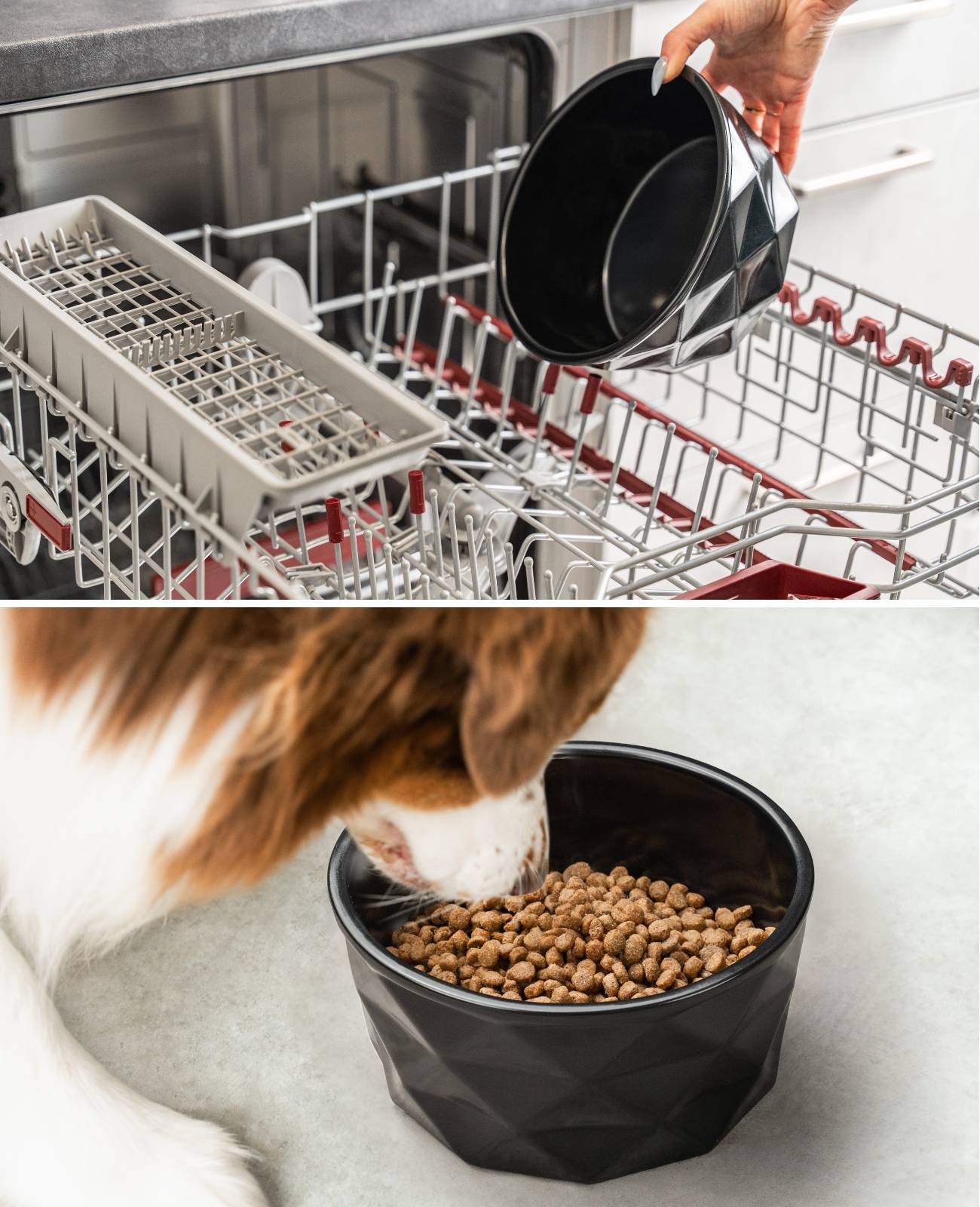 lionto Keramik Futternapf, hochwertiger Napf für Hunde & Katzen, spülmaschinengeeignet, rutschfest & stilvoll, 1900 ml, schwarz matt