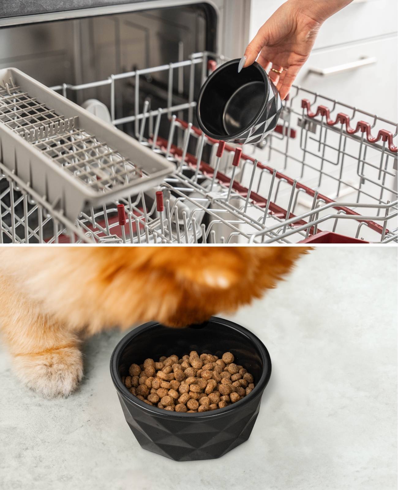 lionto Keramik Futternapf, hochwertiger Napf für Hunde & Katzen, spülmaschinengeeignet, rutschfest & stilvoll, 350 ml, schwarz matt