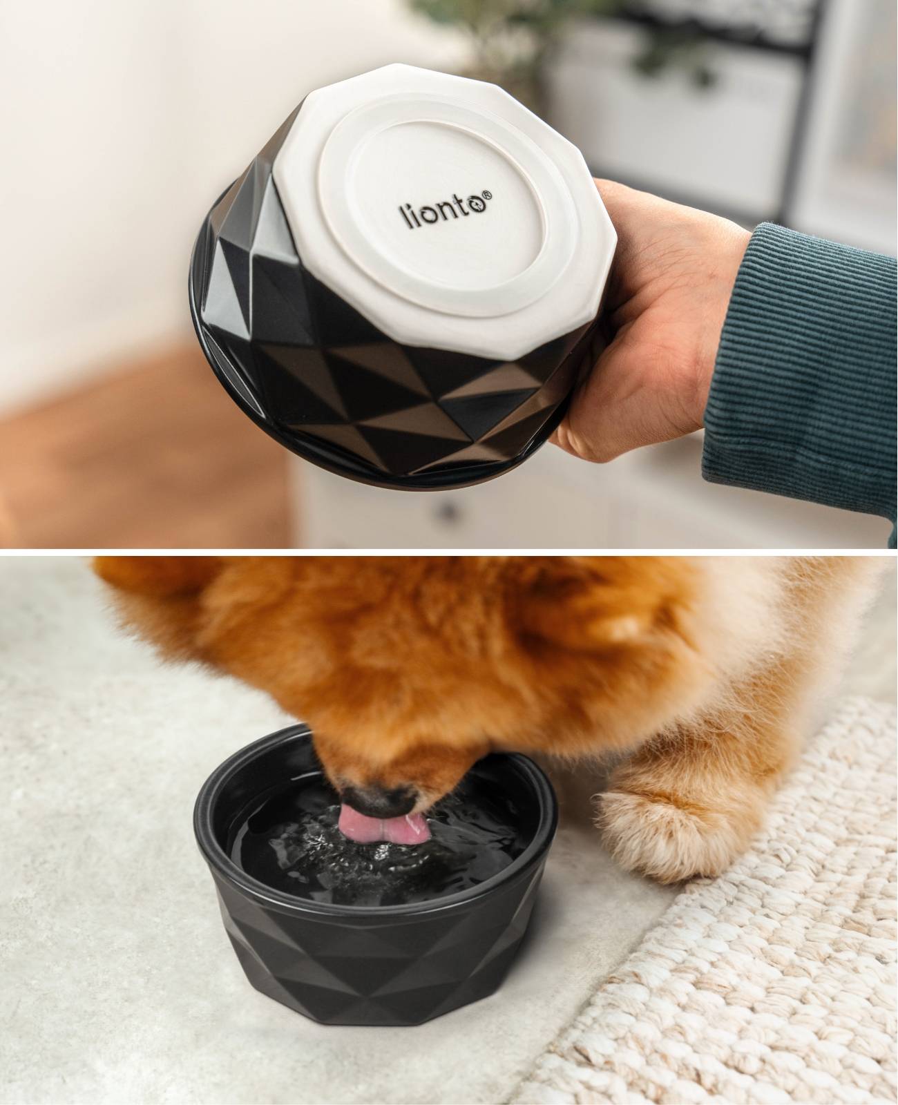 lionto Keramik Futternapf, hochwertiger Napf für Hunde & Katzen, spülmaschinengeeignet, rutschfest & stilvoll, 350 ml, schwarz matt