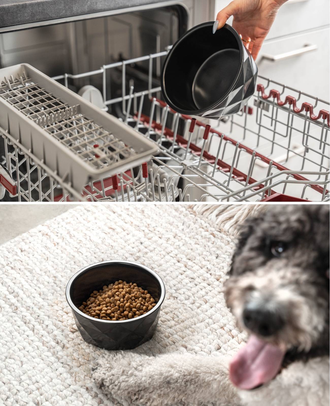 lionto Keramik Futternapf, hochwertiger Napf für Hunde & Katzen, spülmaschinengeeignet, rutschfest & stilvoll, 1100 ml, schwarz matt