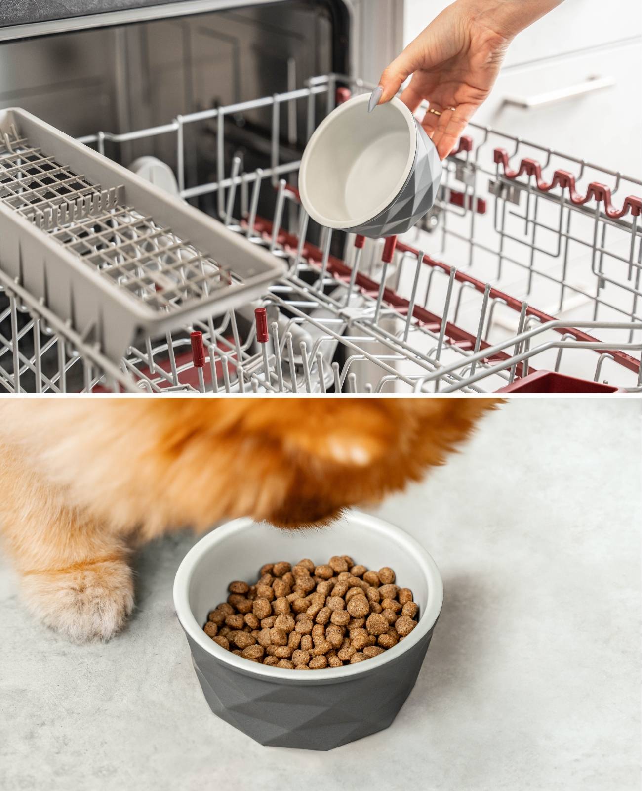 lionto Keramik Futternapf, hochwertiger Napf für Hunde & Katzen, spülmaschinengeeignet, rutschfest & stilvoll, 350 ml, dunkelgrau/hellgrau matt