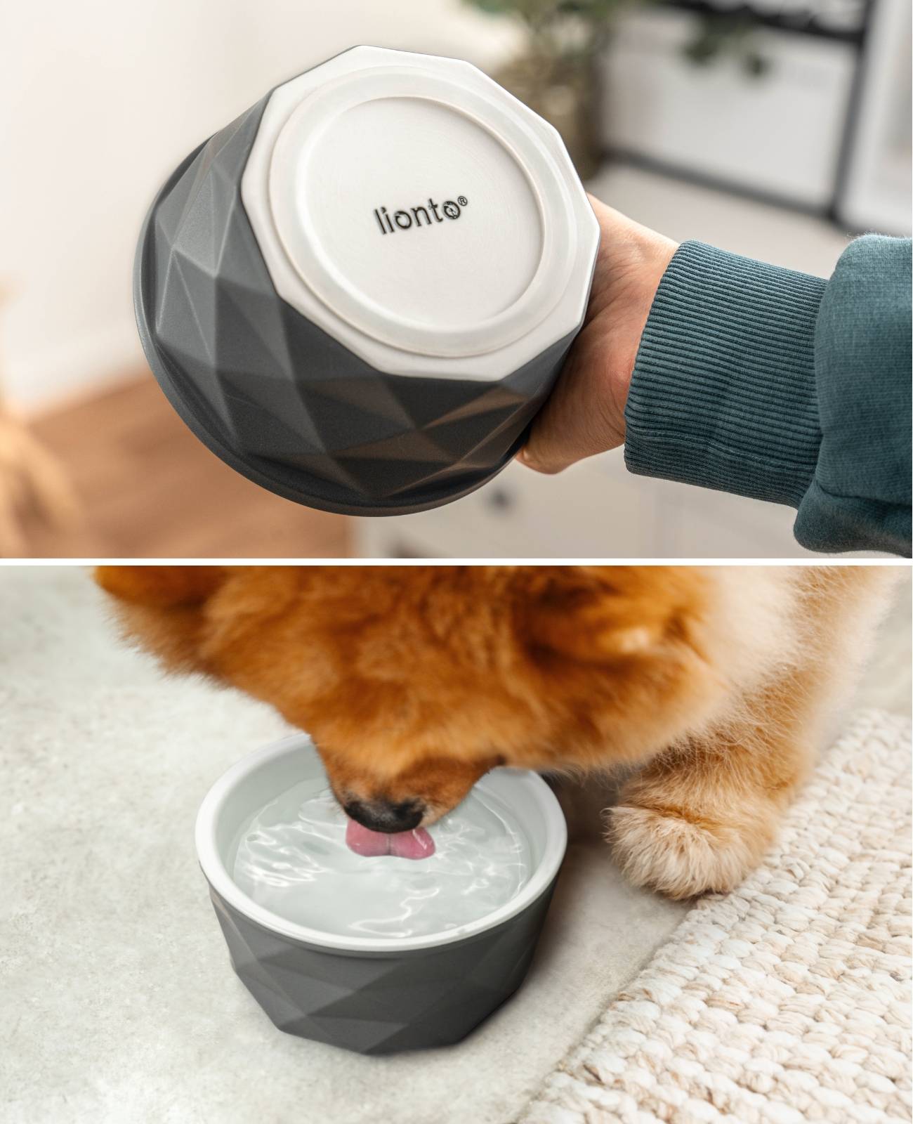 lionto Keramik Futternapf, hochwertiger Napf für Hunde & Katzen, spülmaschinengeeignet, rutschfest & stilvoll, 350 ml, dunkelgrau/hellgrau matt