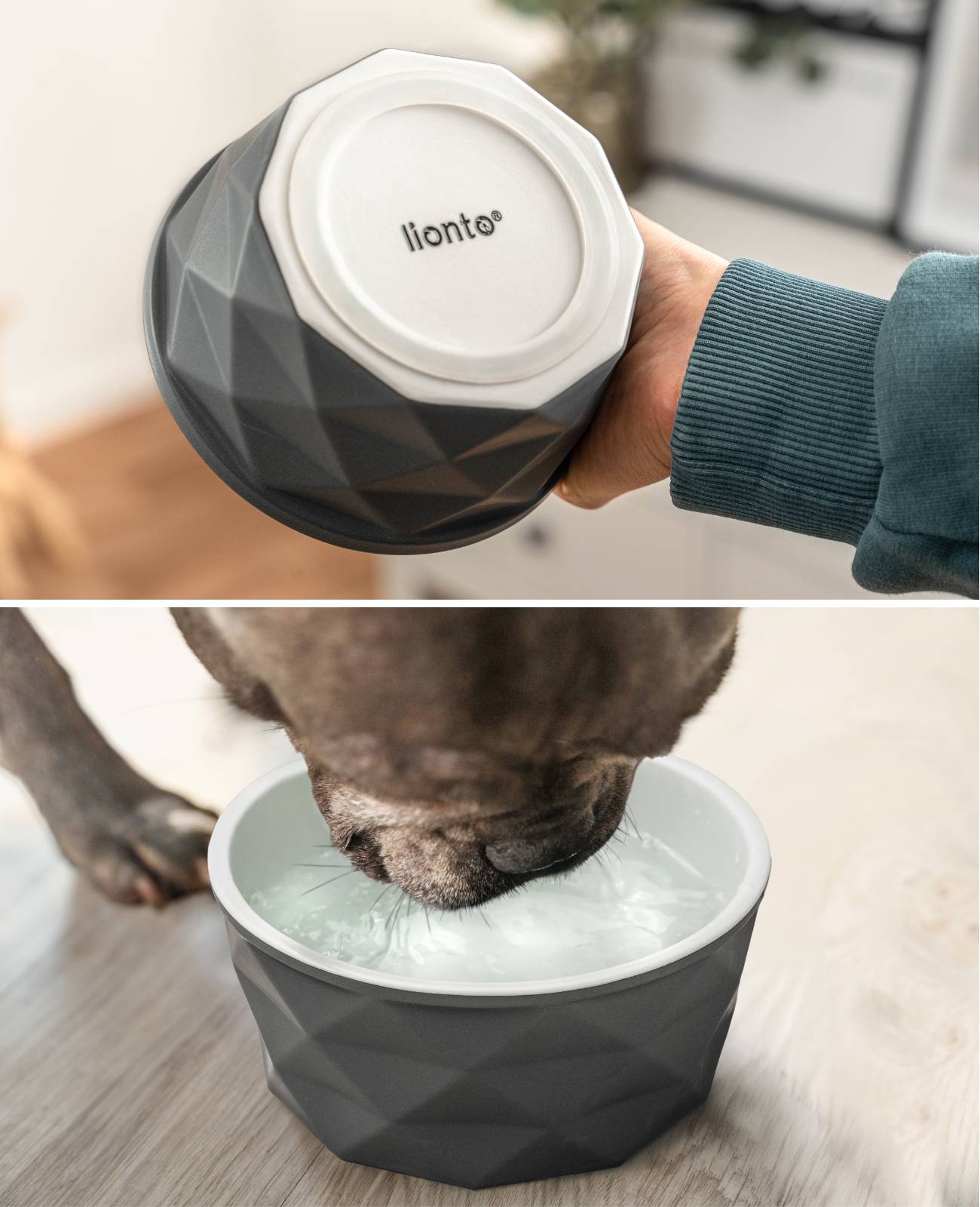 lionto Keramik Futternapf, hochwertiger Napf für Hunde & Katzen, spülmaschinengeeignet, rutschfest & stilvoll, 550 ml, dunkelgrau/hellgrau matt