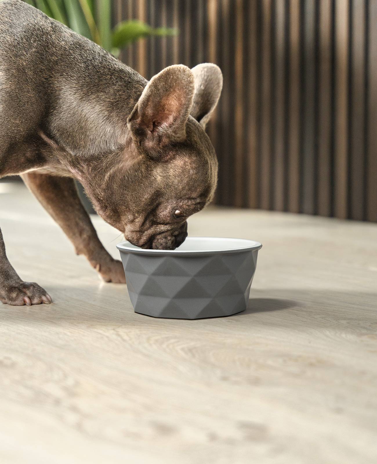 lionto Keramik Futternapf, hochwertiger Napf für Hunde & Katzen, spülmaschinengeeignet, rutschfest & stilvoll, 550 ml, dunkelgrau/hellgrau matt